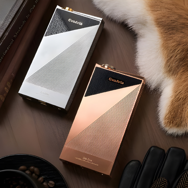 EvoAria Evo One 旗艦便攜音樂播放器