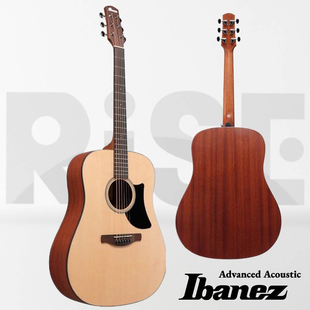 Ibanez AAD50-LG 民謠吉他