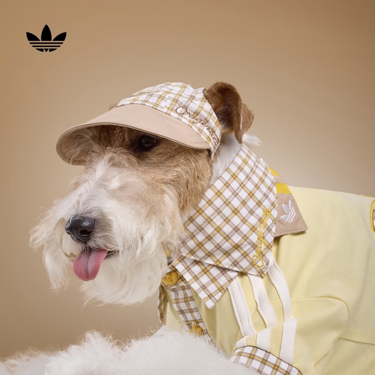 ADIDAS ORIGINALS 黃色 奶茶色 格紋 遮陽帽 露耳 狗狗 貓貓 寵物衣服 / 預購