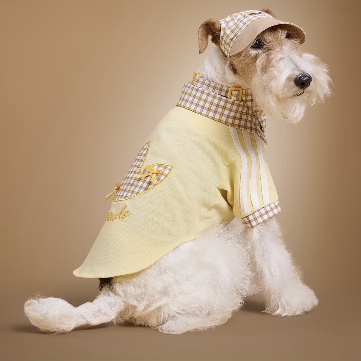 ADIDAS ORIGINALS 黃色 奶茶色 格紋 遮陽帽 露耳 狗狗 貓貓 寵物衣服 / 預購