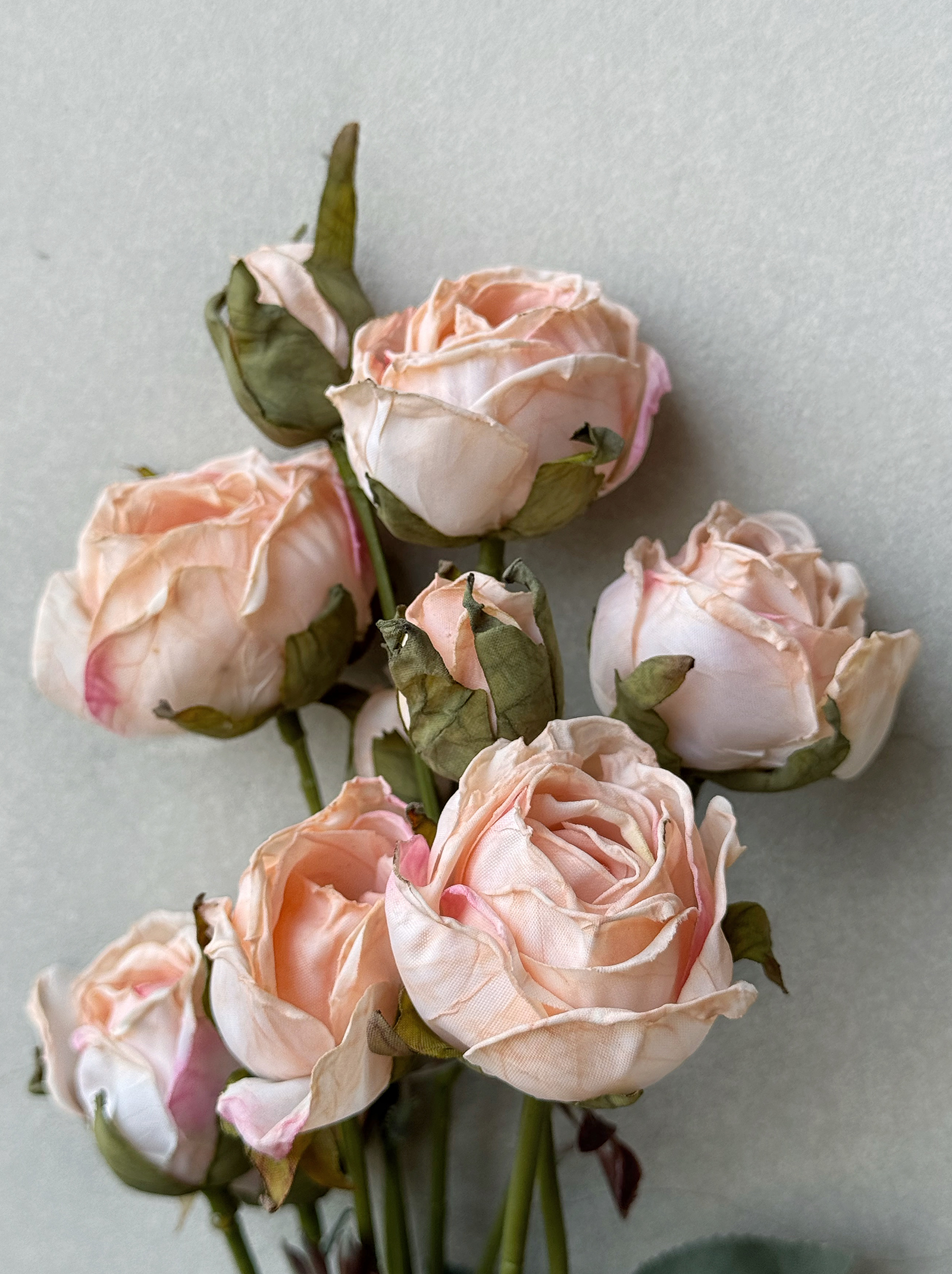 擬真乾燥玫瑰（兩色）