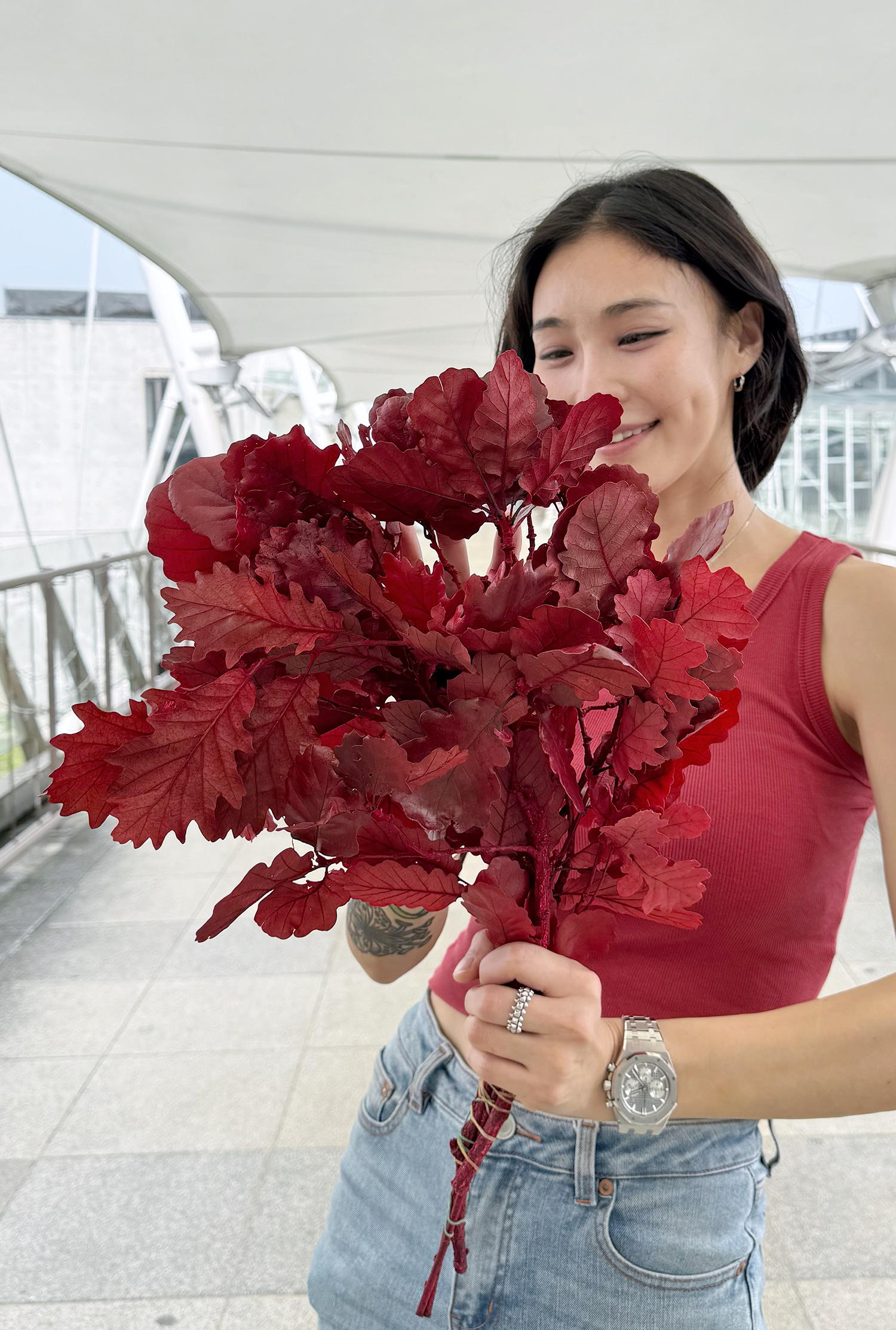 義大利不凋橡樹葉（多色）