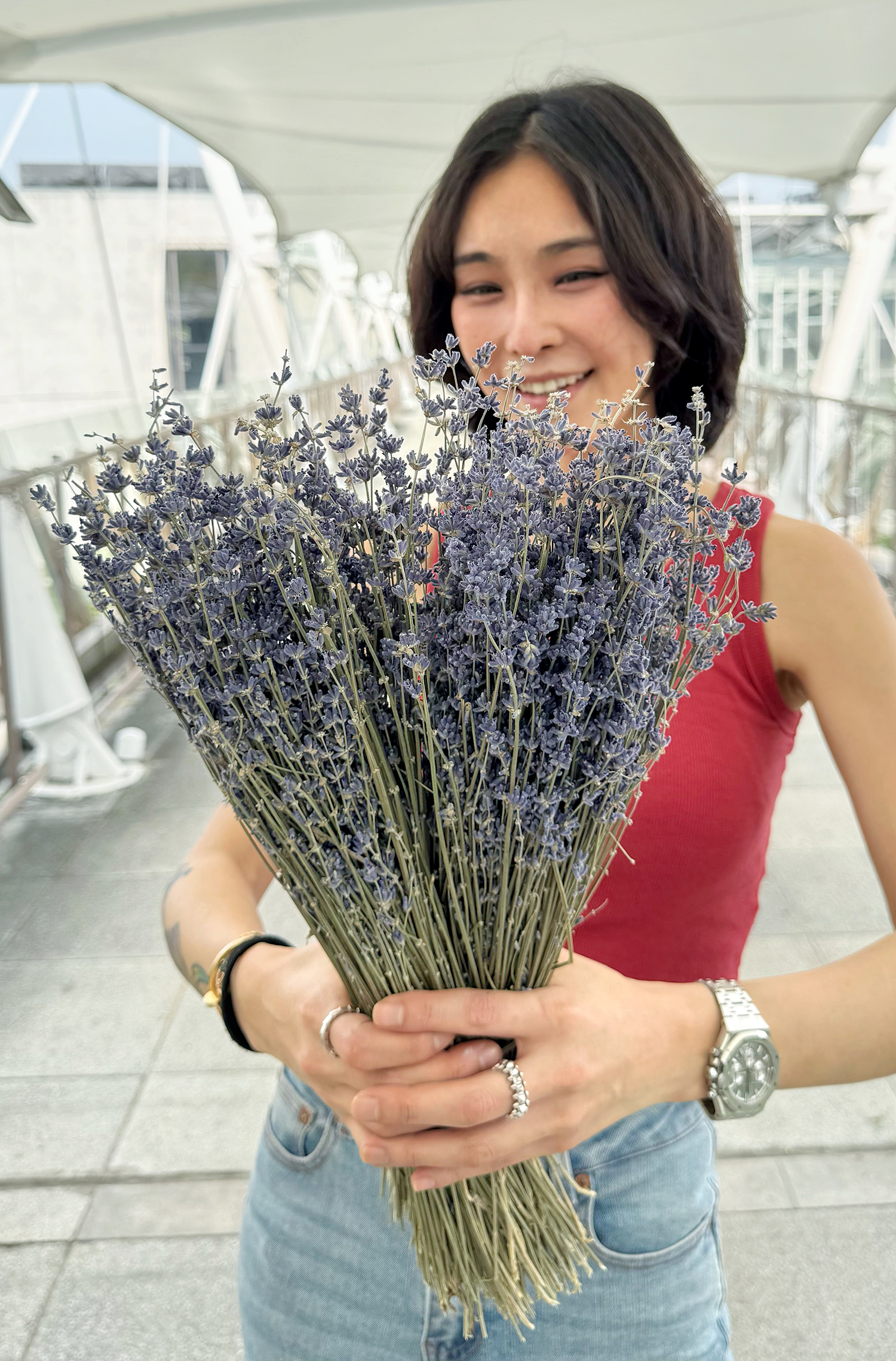 義大利乾燥薰衣草