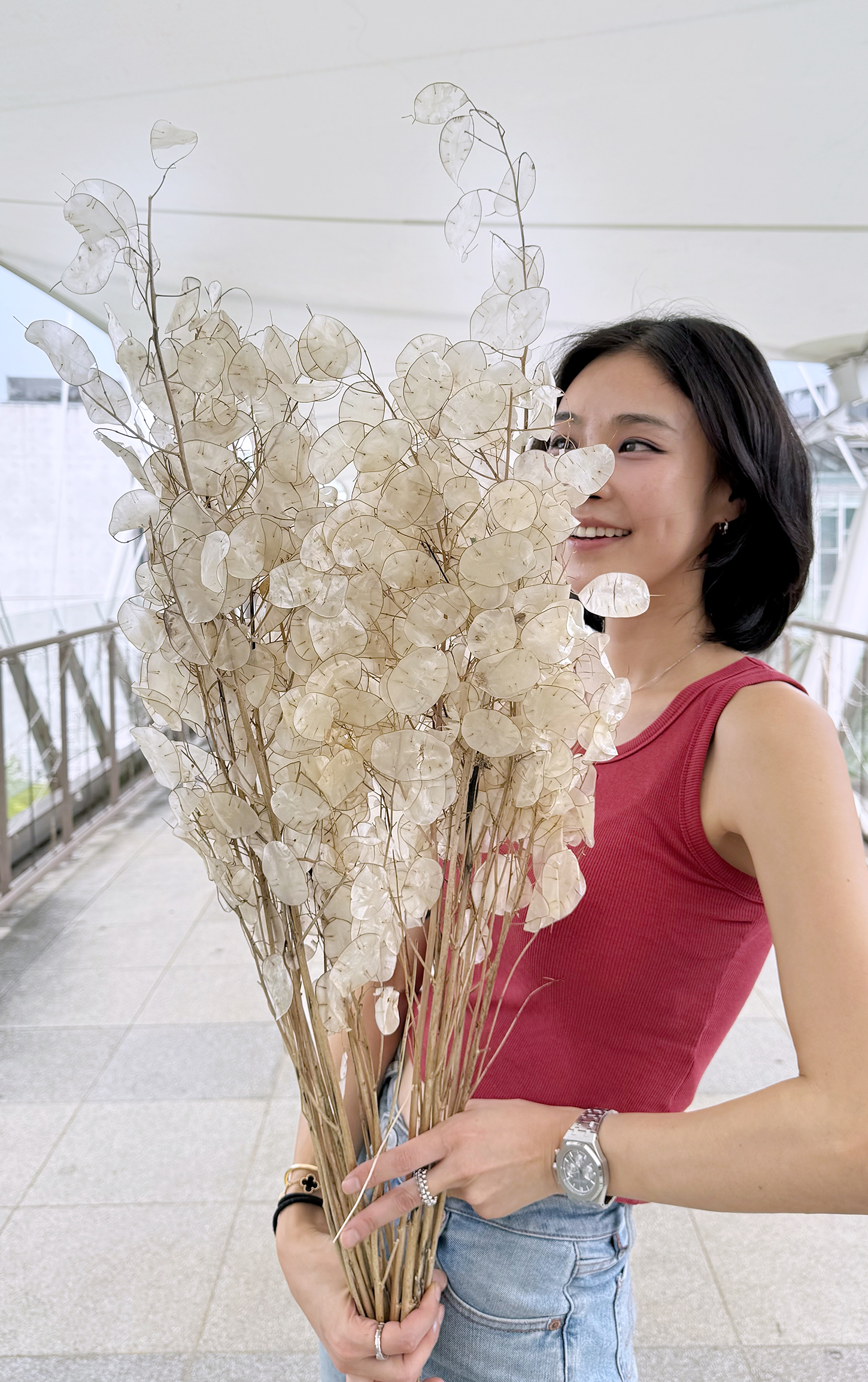 義大利特級銀幣葉