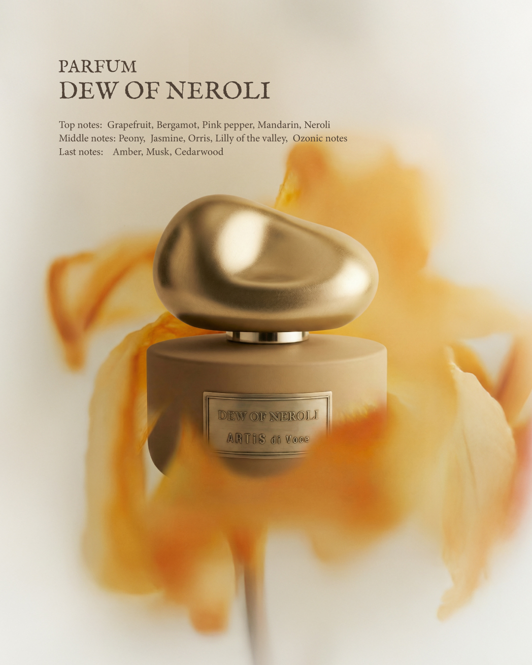 ARTiS di Voce 香精50ml - 橙花之露3301