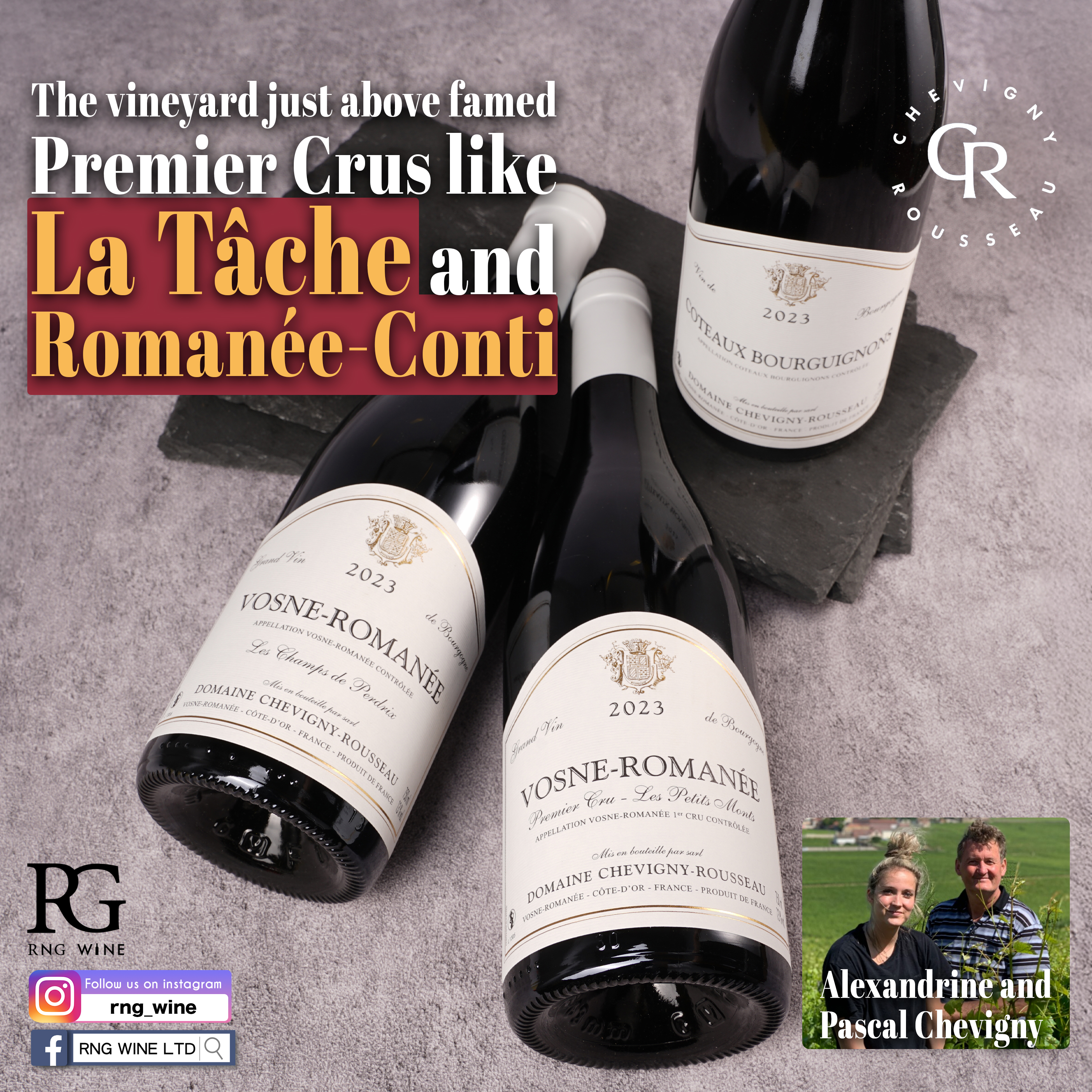 Chevigny Rousseau Coteaux Bourguignons 2023