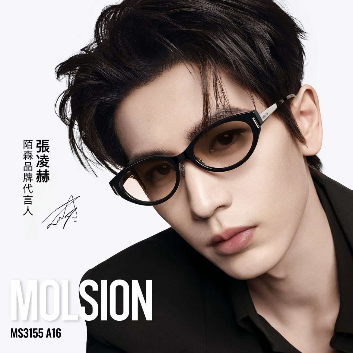 <張凌赫代言>MOLSION 貓眼 墨鏡 輕量 鈦合金 四款