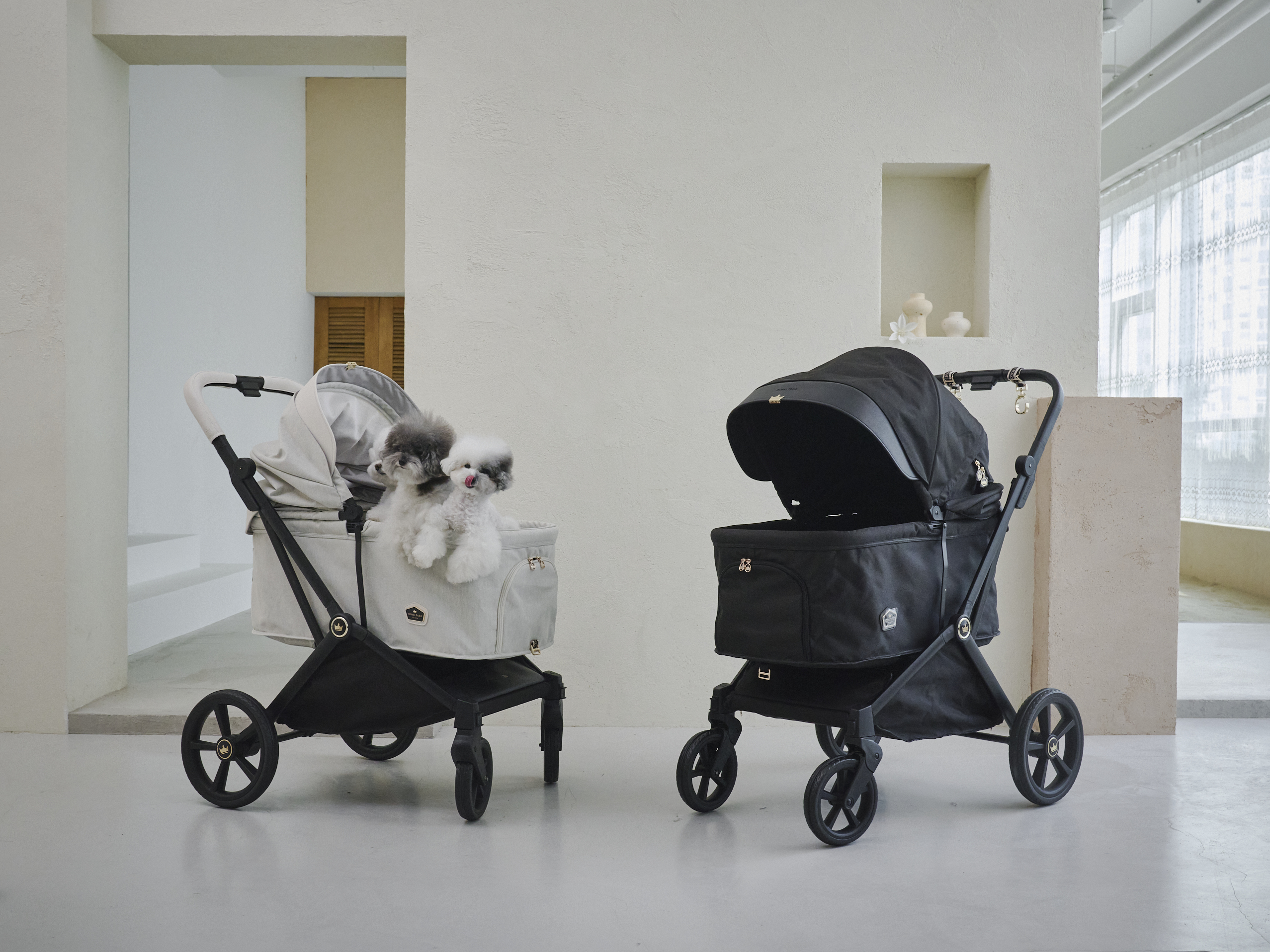 RoyalTails Gloria MAX 750