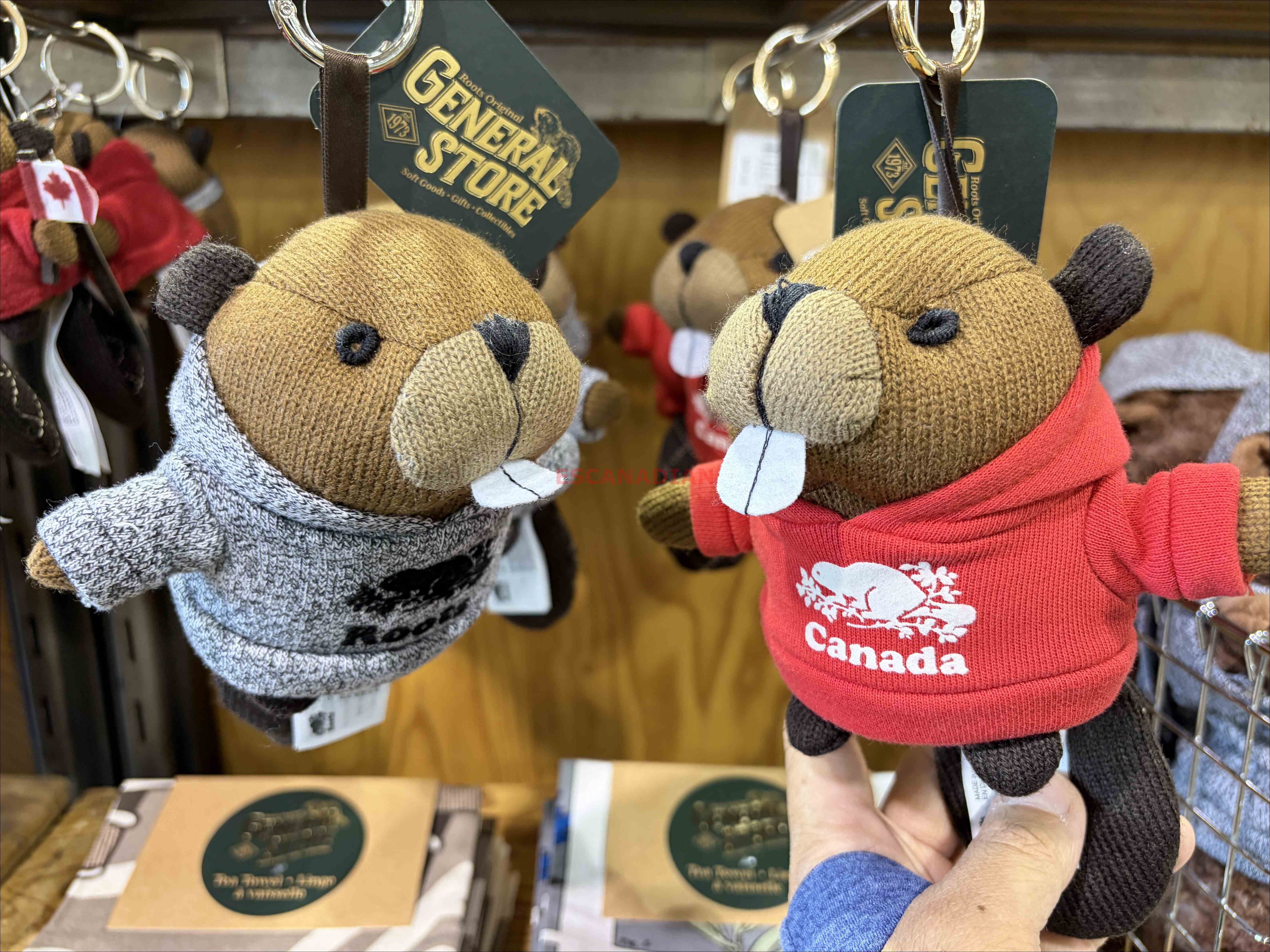 ROOTS 大款海狸 造型吊飾/鑰使圈 (2色)