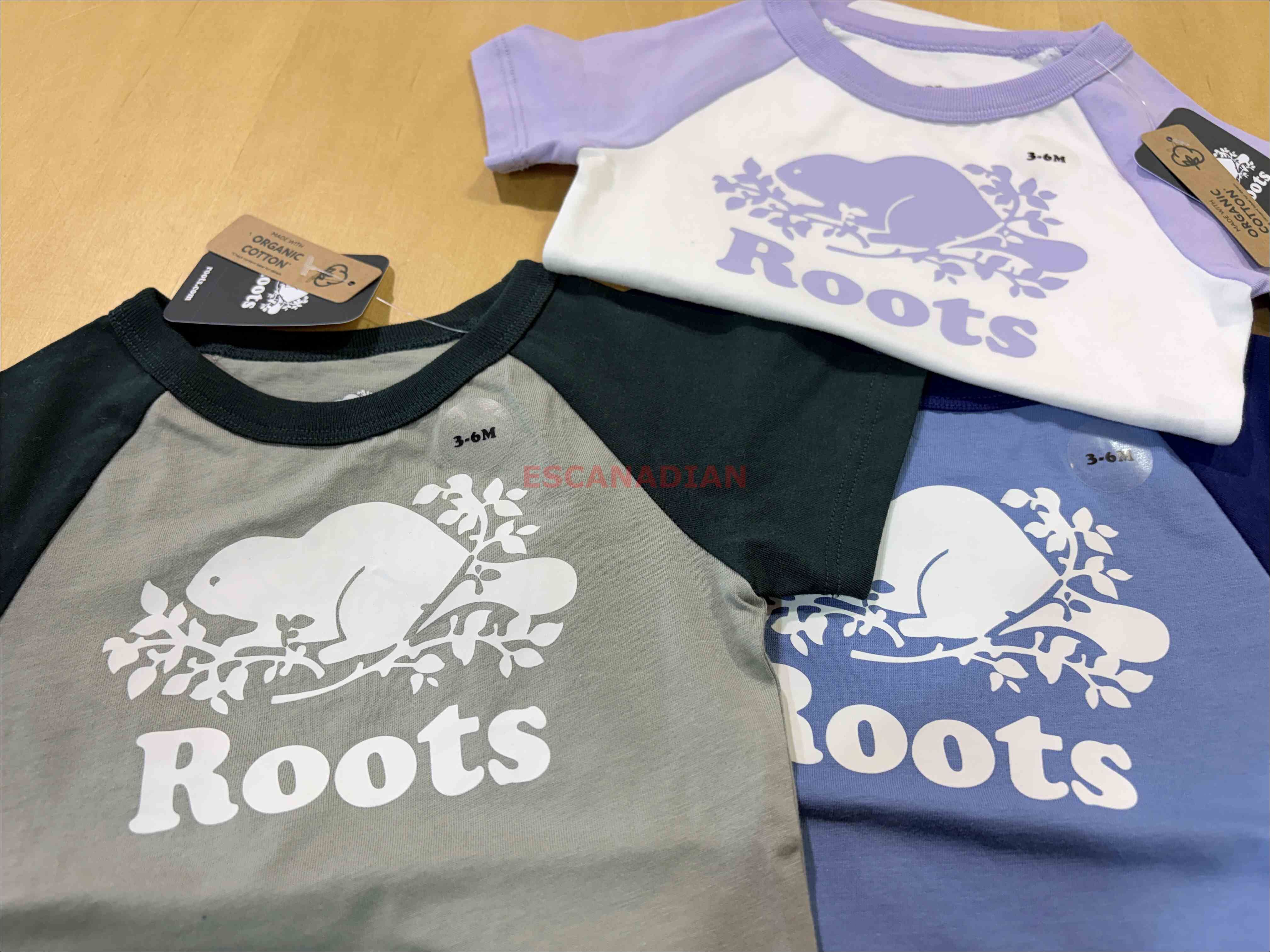 Baby ROOTS 經典海狸 拼接棒球袖 包屁衣 (3色)