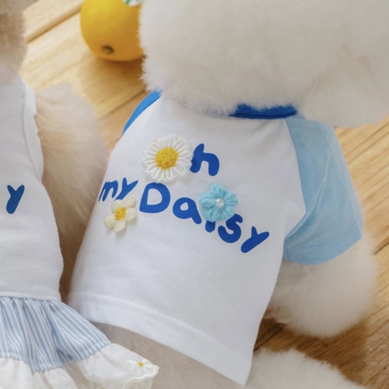 Oh My Daisy TS｜藍白雛菊棉T恤  It’s