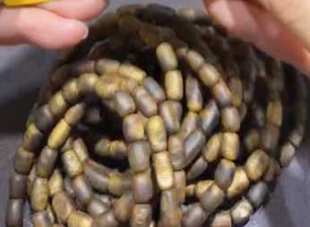 260409 - A32 綠奇楠蟲漏沉香桶珠手串（無證書）+ 木碎玻璃樽