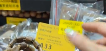 260409 - A34 綠奇楠蟲漏沉香手排（無證書）+ 木碎玻璃樽