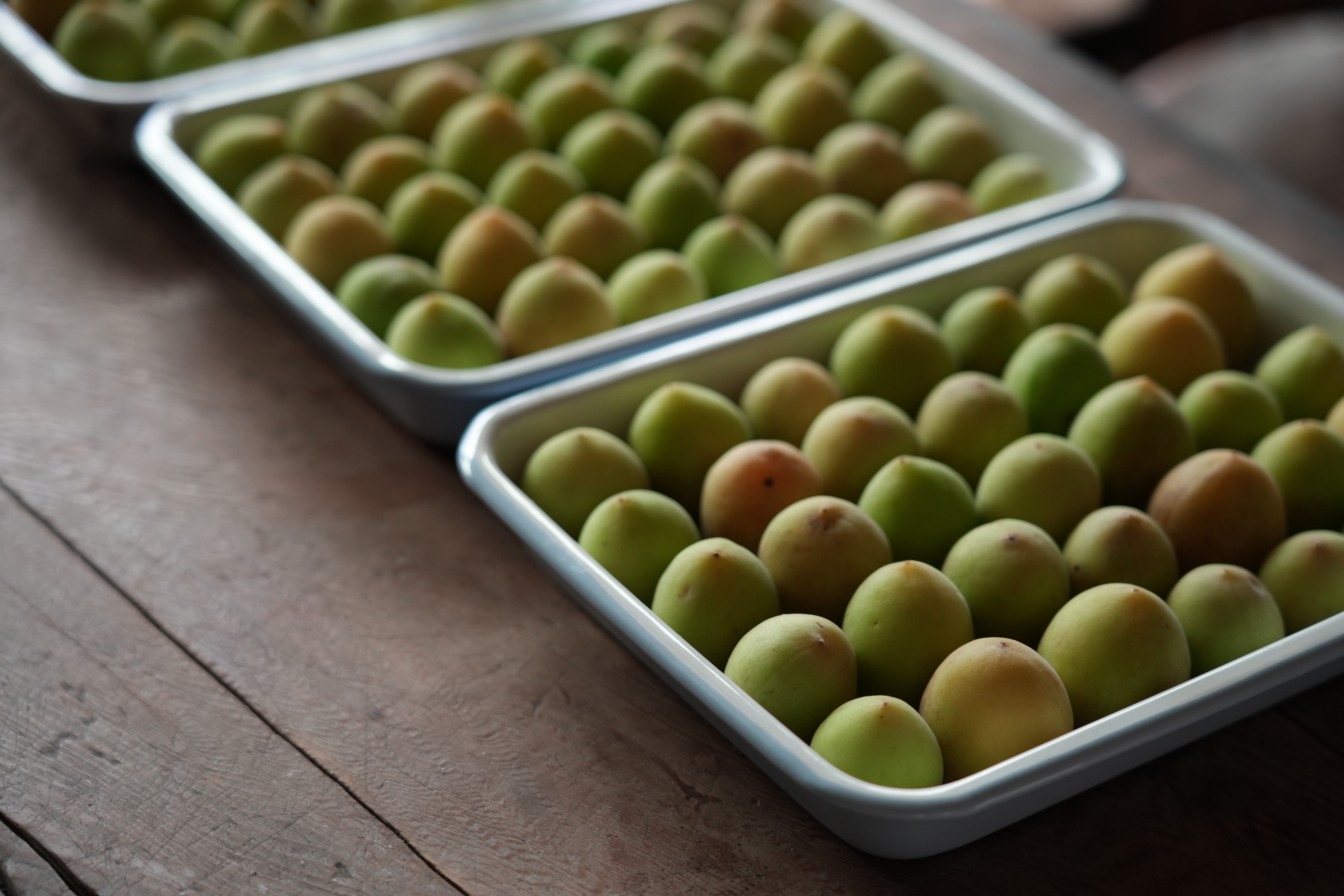 COQUOLOGY 吃的料理課｜怡安家的梅酒課