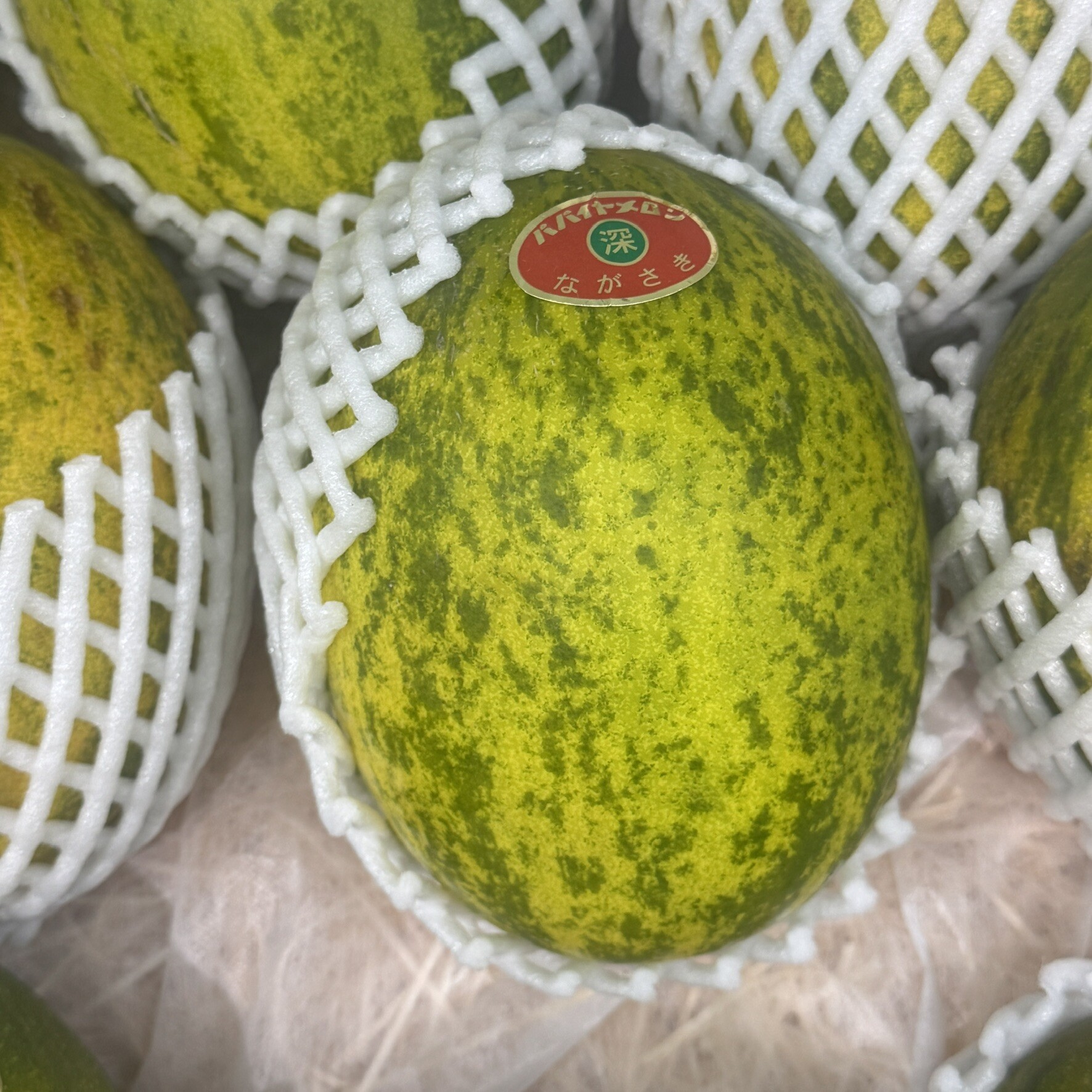 梅木瓜　NＴ-157 Healthy Express - 🍈 Nagasaki Papaya Melon (木瓜蜜瓜)