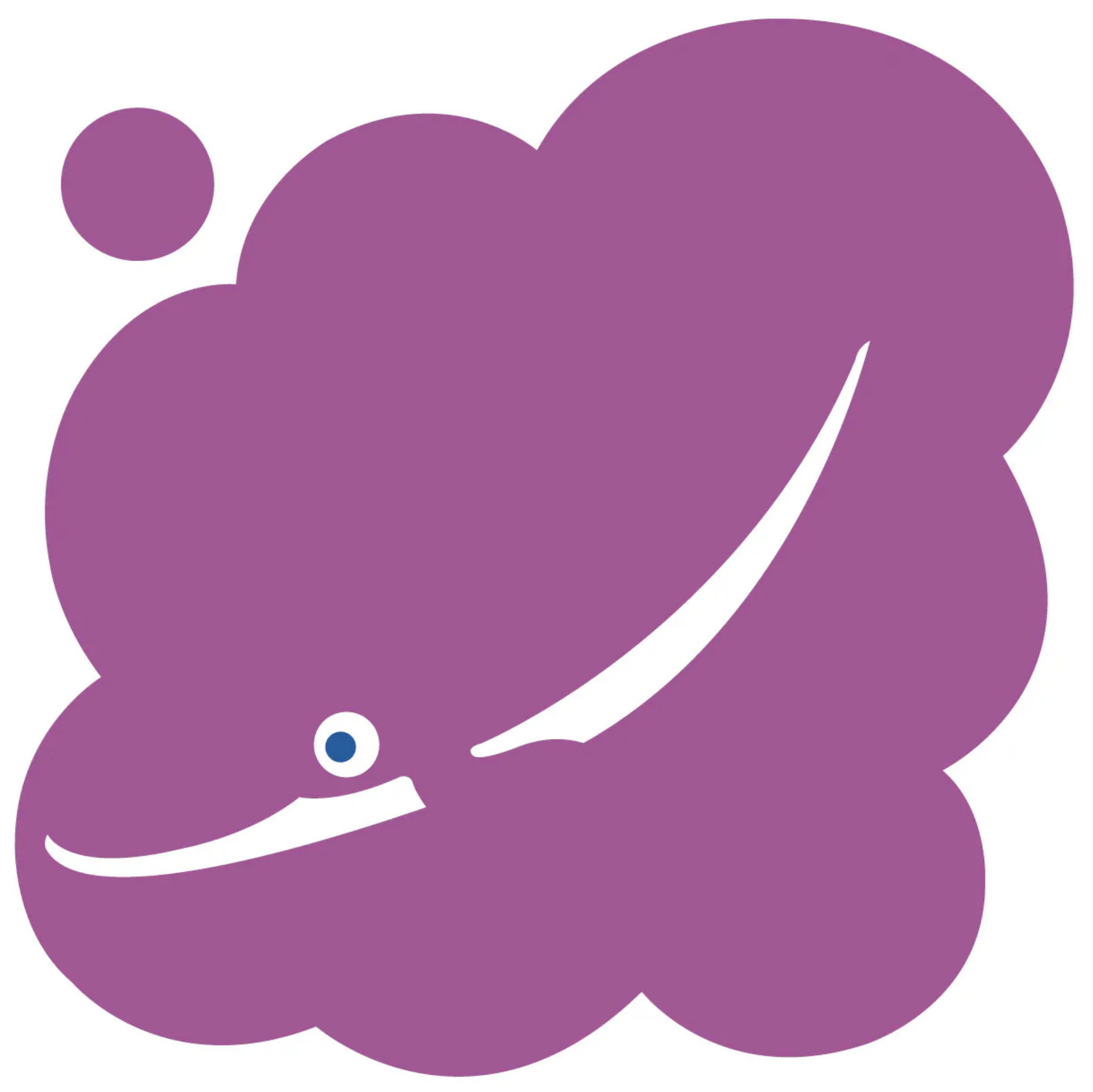 K's Kids  Can you see - Dolphin RP50162