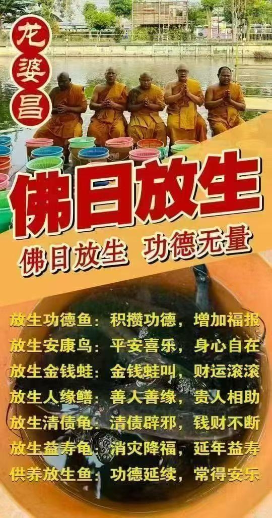 龍婆昌廟佛日放生 （5/9）