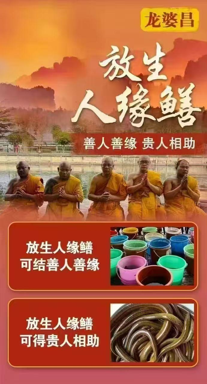 龍婆昌廟佛日放生 （5/9）