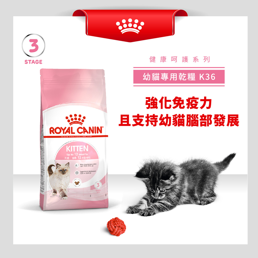 Royal Canin法國皇家幼貓K36