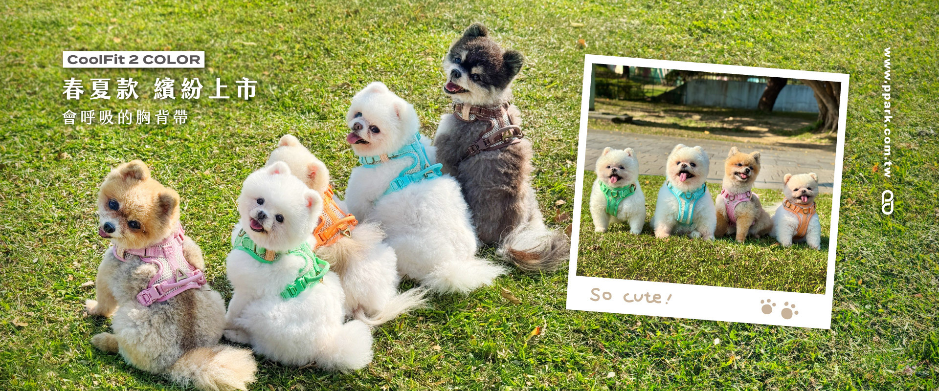CoolFit 2代胸背帶，舒適升級，更輕、更亮、更透氣，適合長時間穿戴，減輕毛孩負擔！