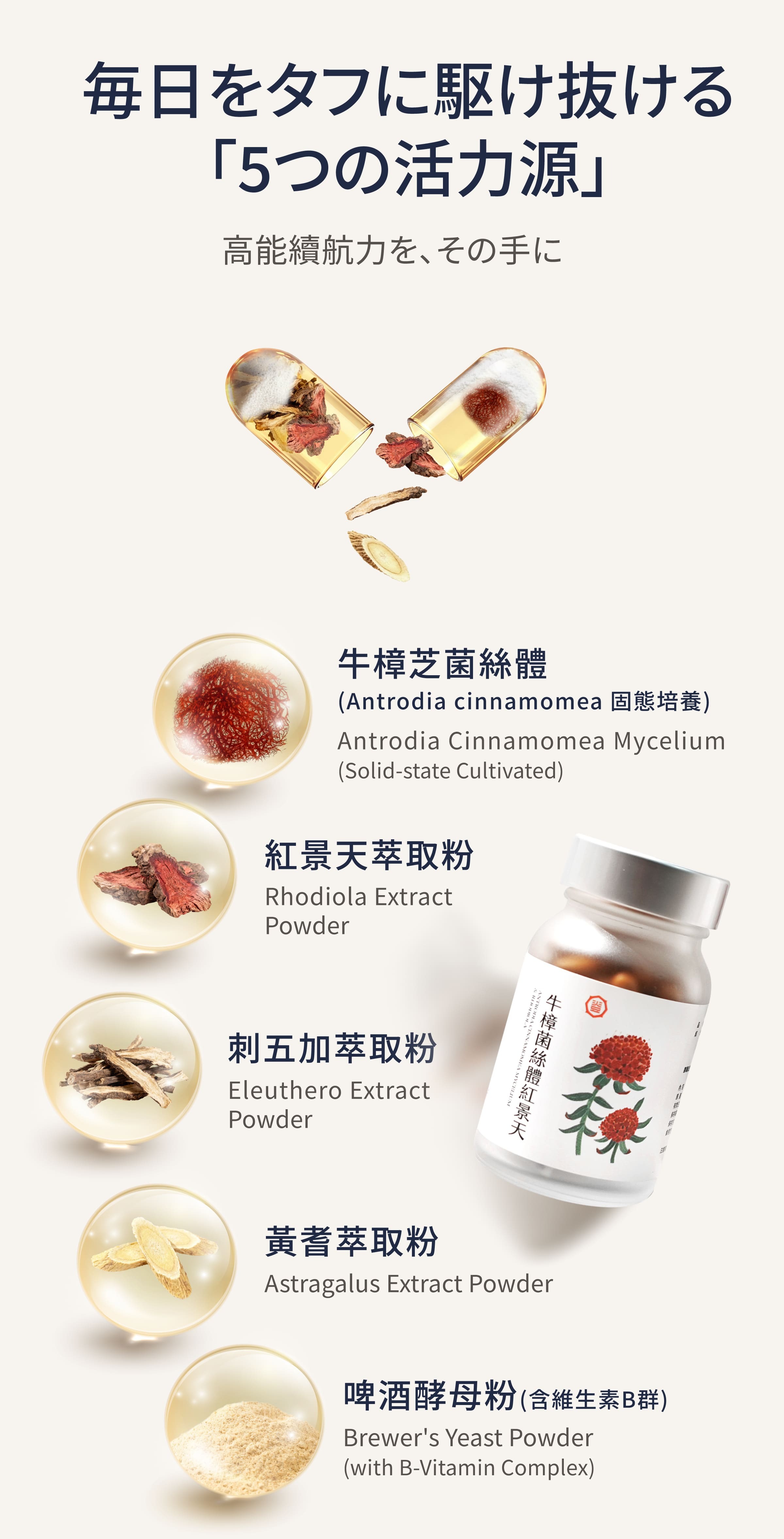 Dengyi 牛樟芝菌糸体と紅景天 の材料