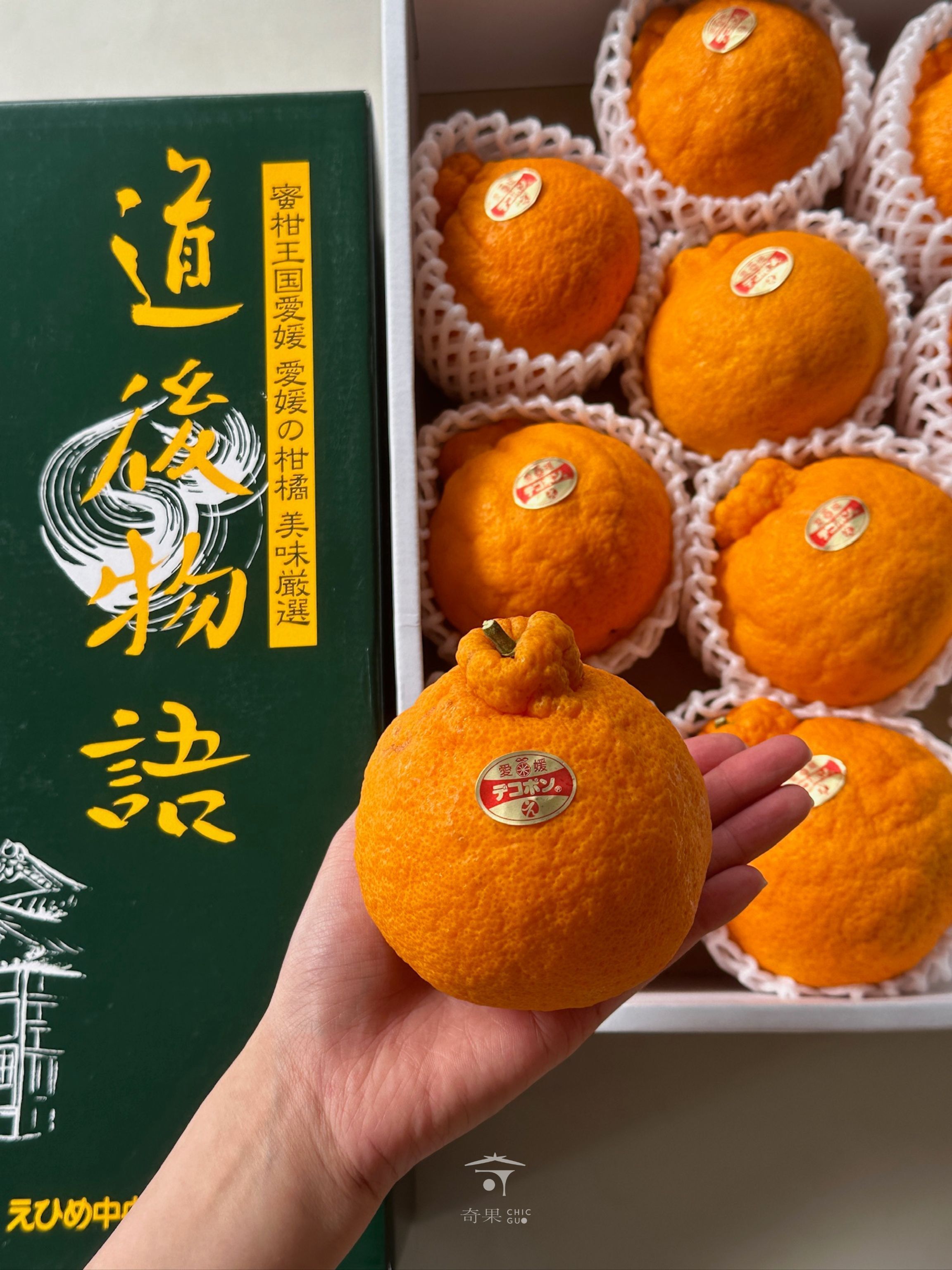 奇果｜日本愛媛·不知火凸柑