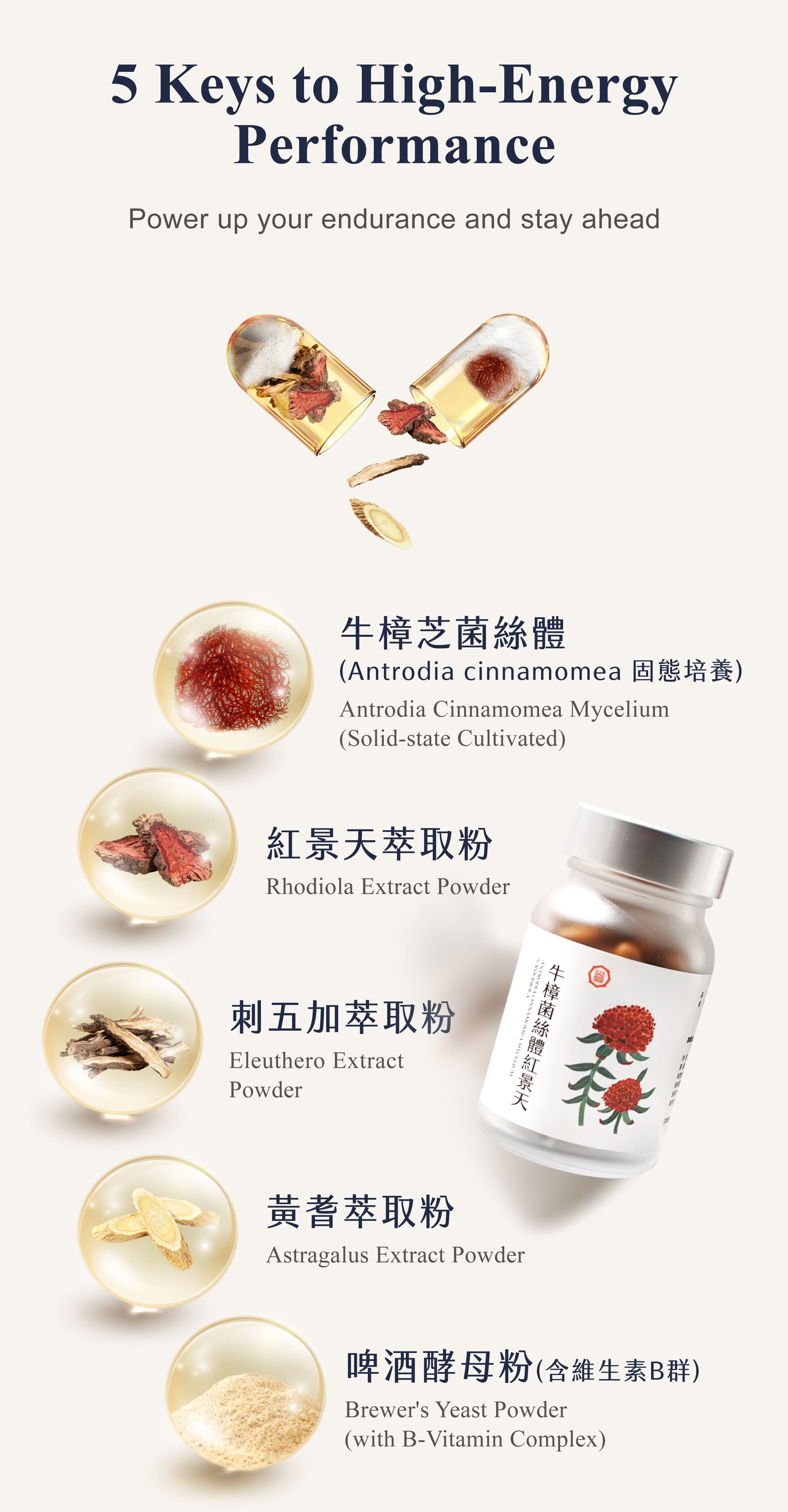 Dengyi Antrodia Cinnamomea Mycelium & Rhodiola Complex Capsules Ingredients