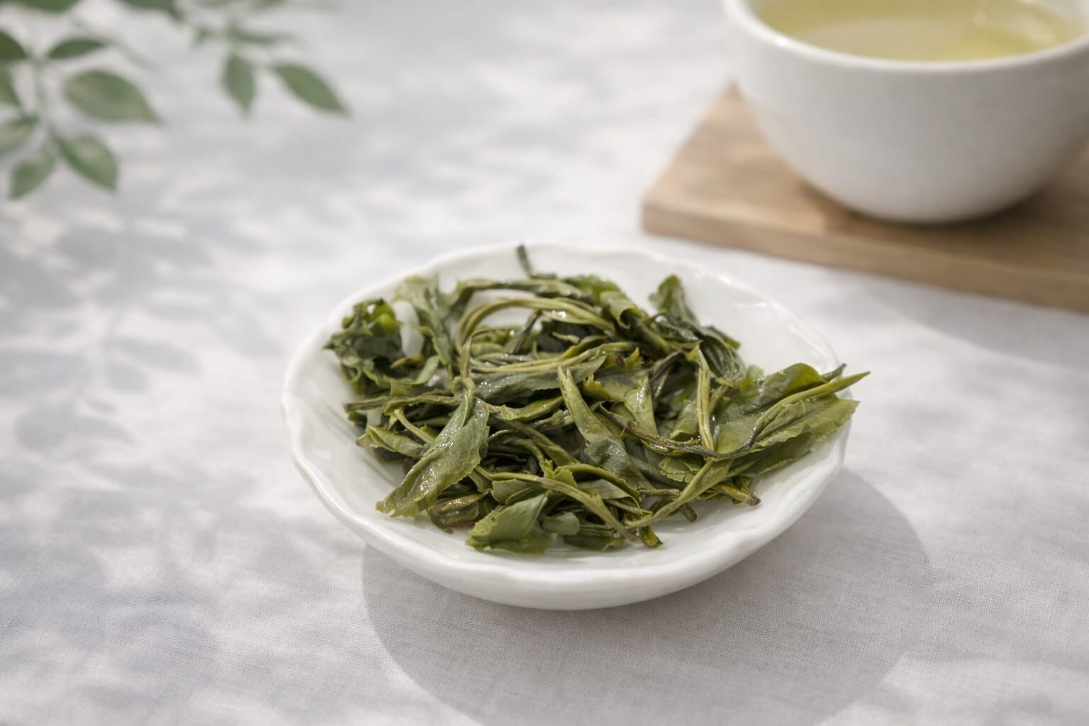 碧螺春茶葉細節