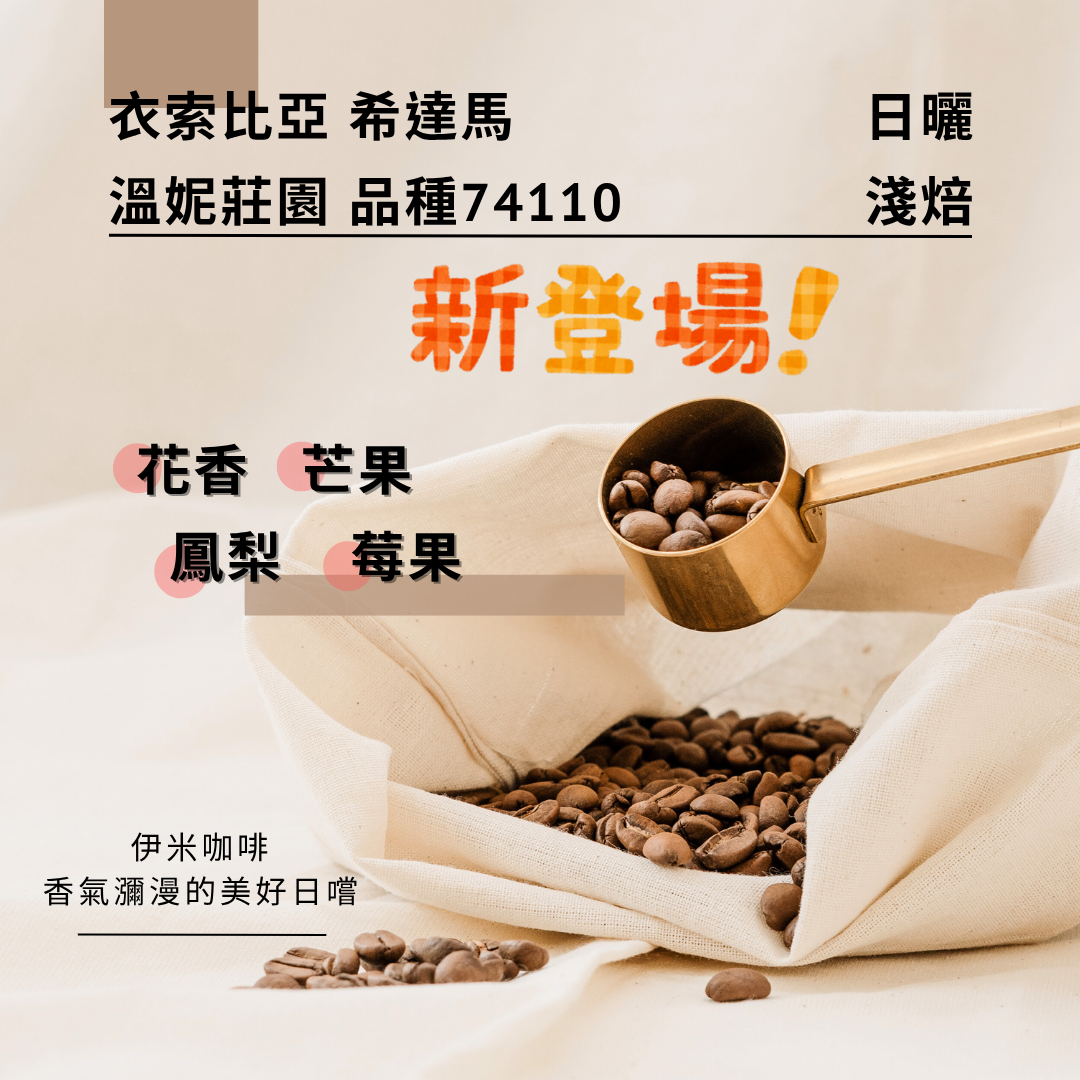 衣索比亞 希達馬 溫妮莊園 品種74110 日曬/半磅