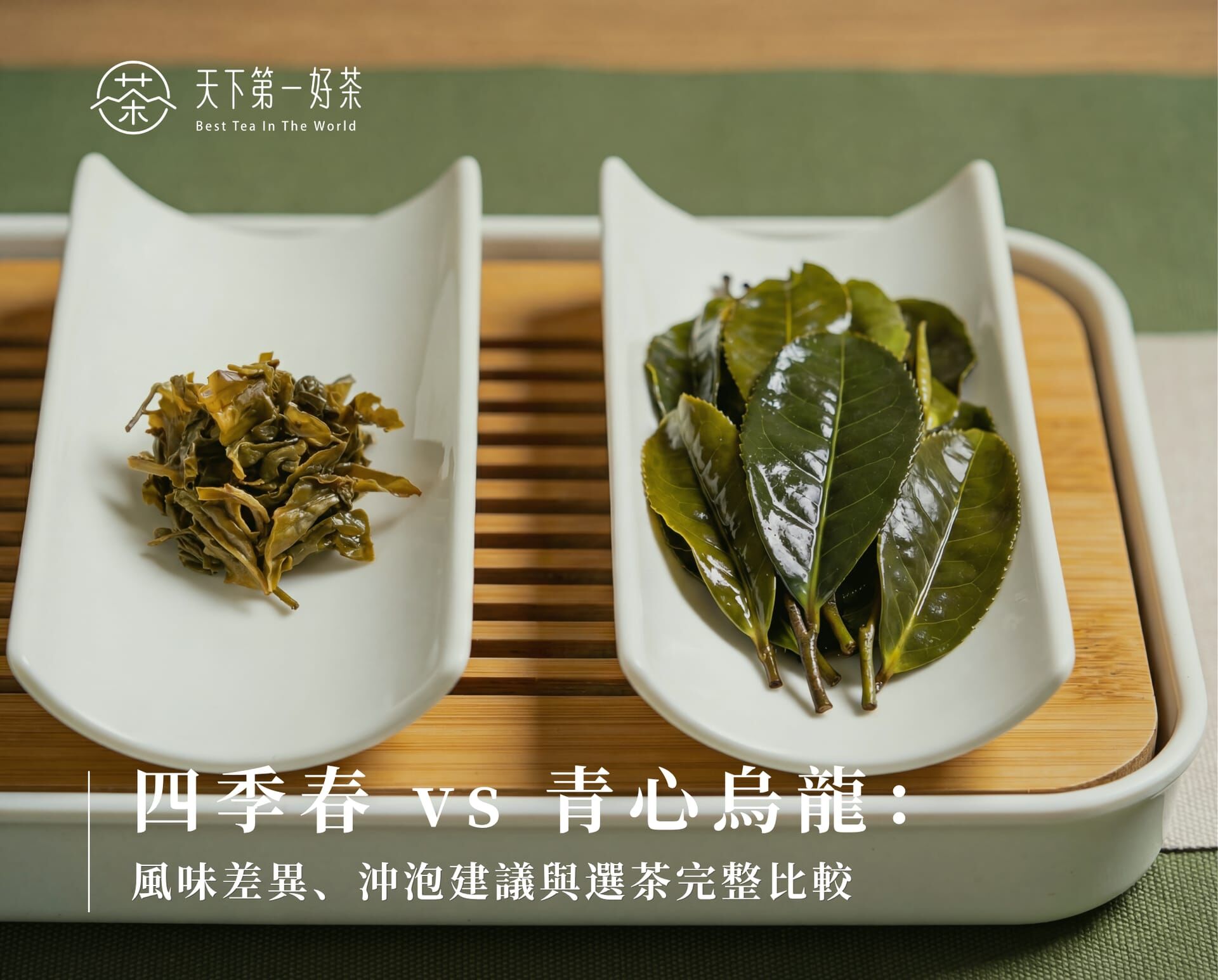 四季春 vs 青心烏龍