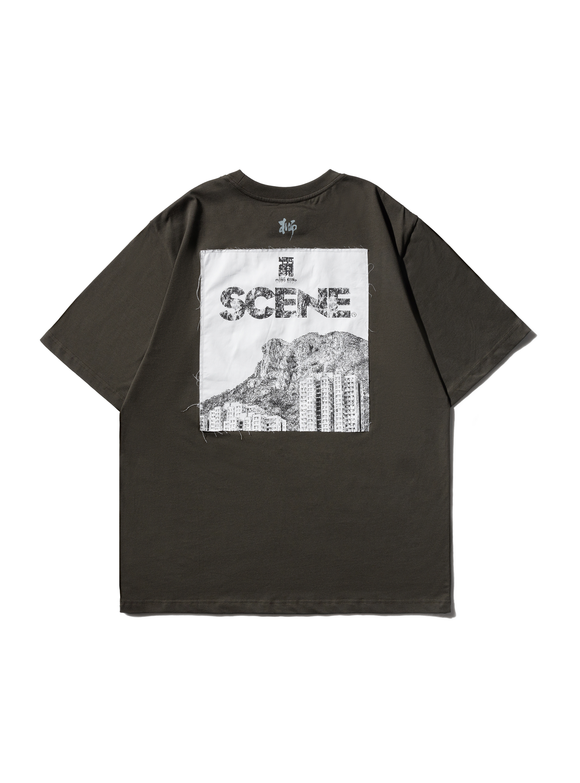 SC x PENSO_LION ROCK TEE // GRY