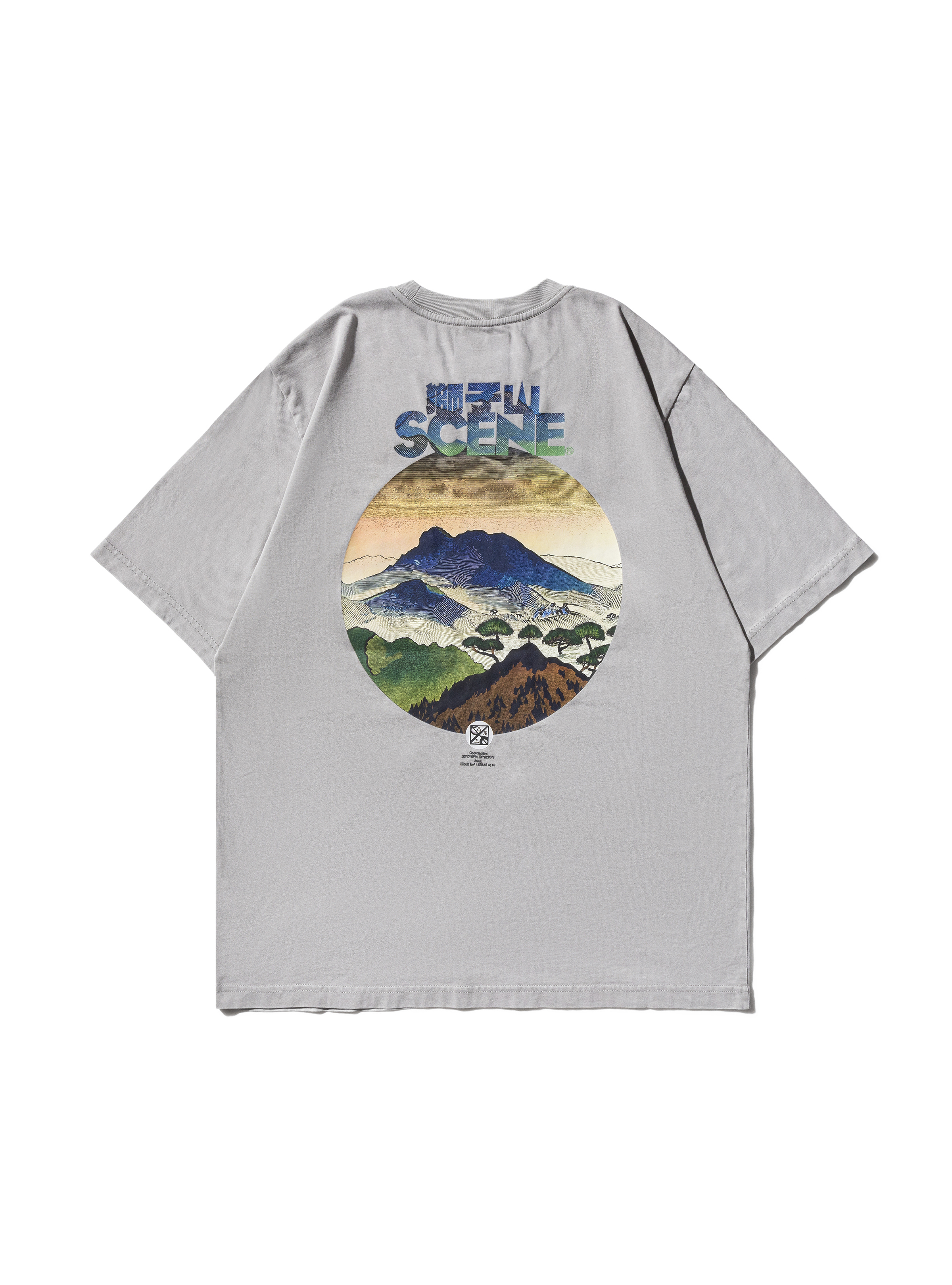 SC x 3 PARK_WASHED LION ROCK TEE // GRY