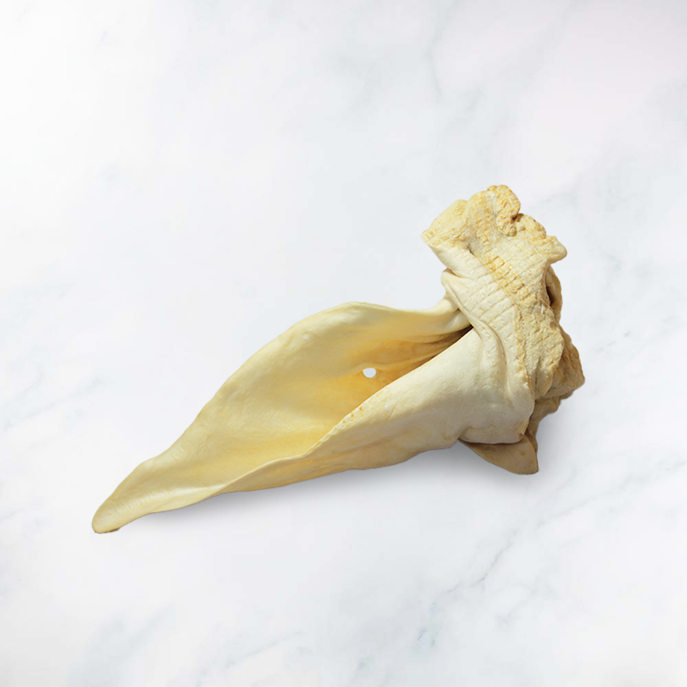 寵物耐咬零食．鹿耳