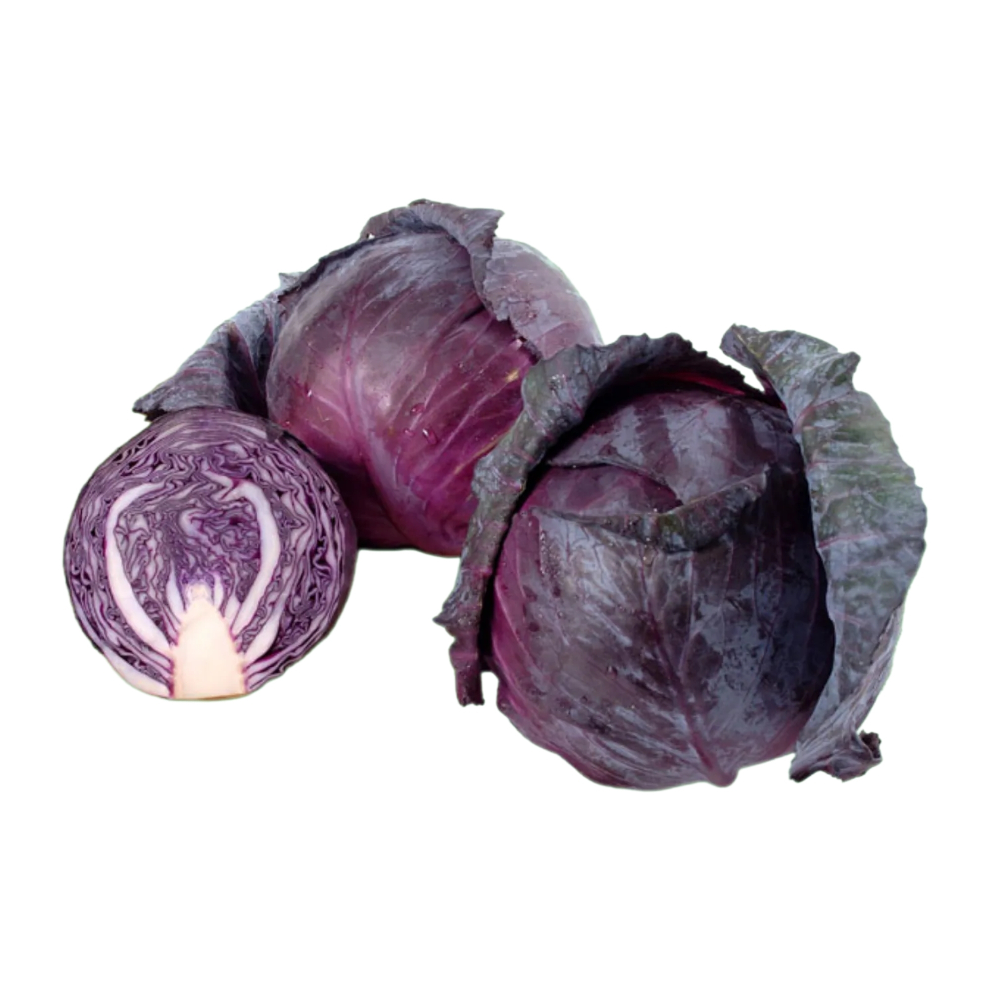 Local Organic Red Cabbage (2catties/bag)