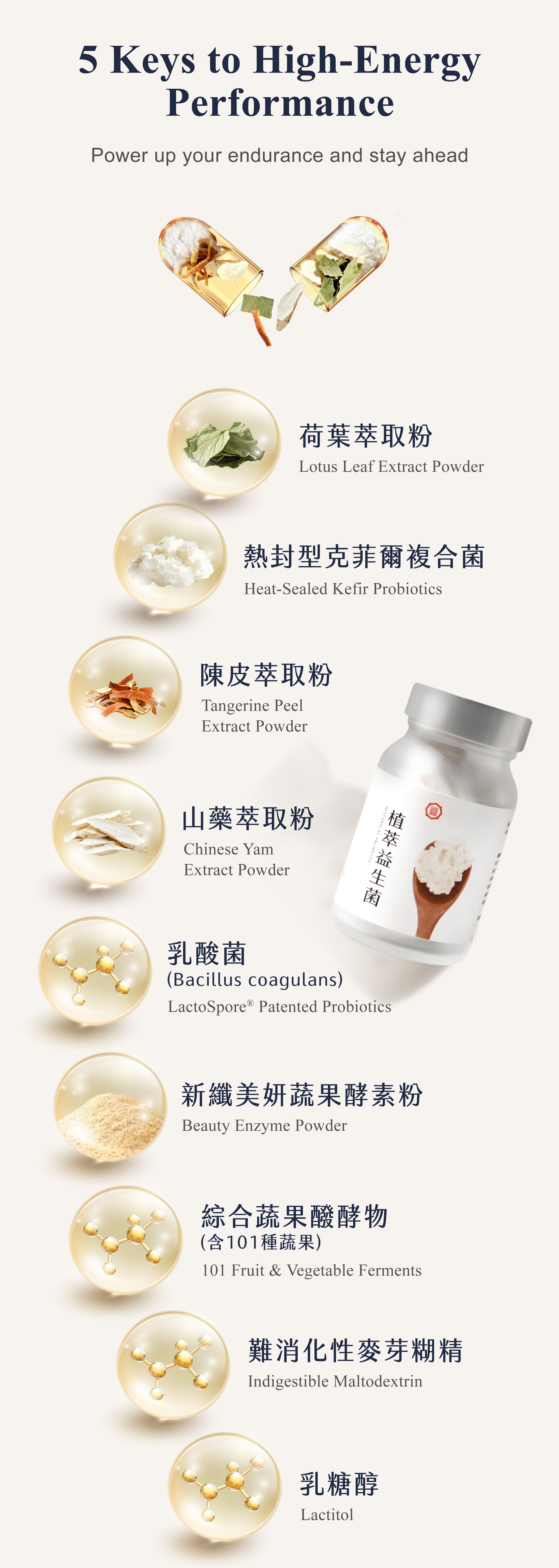 Dengyi Botanical Probiotic Complex Capsules Ingredients