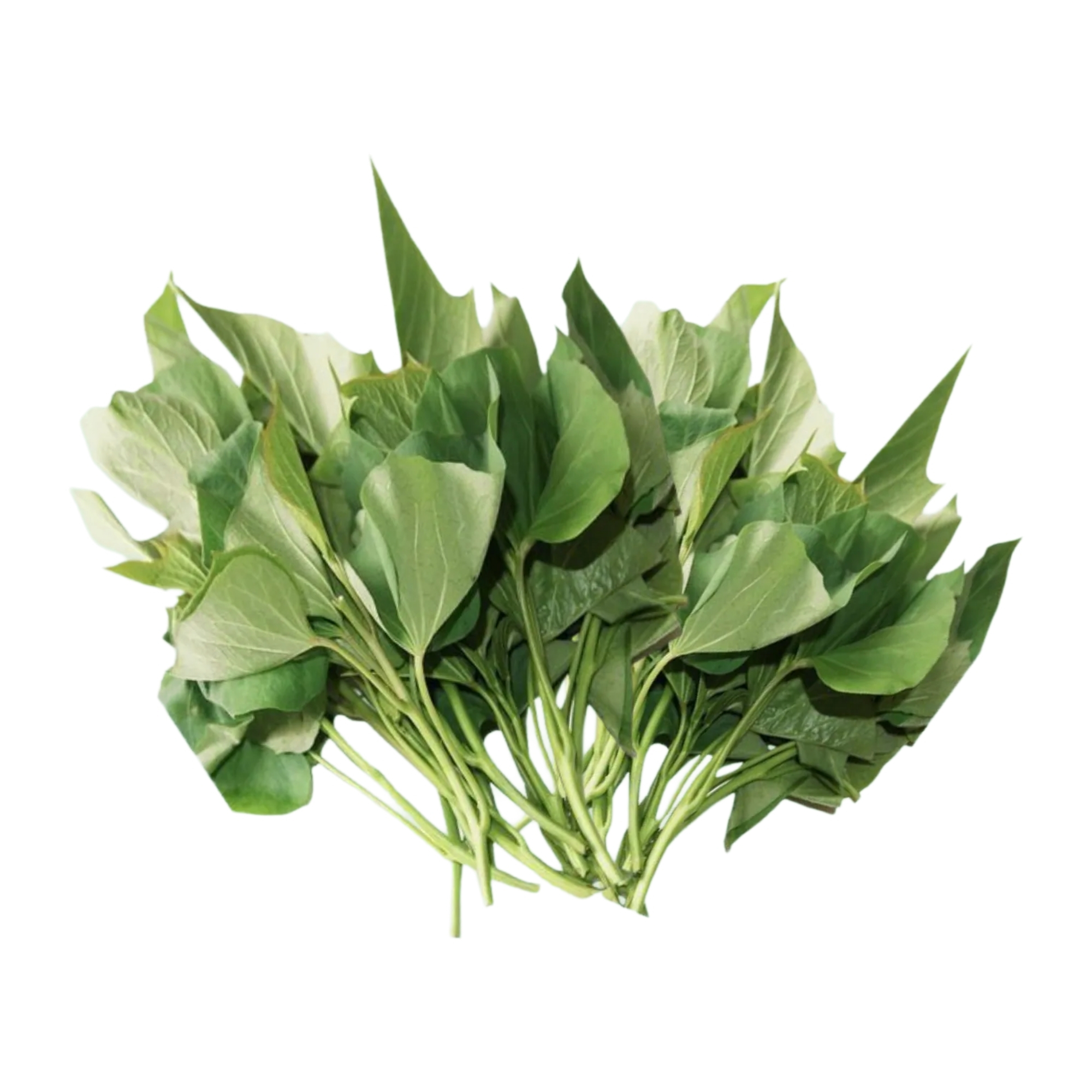 本地有機蕃薯苗 (斤)