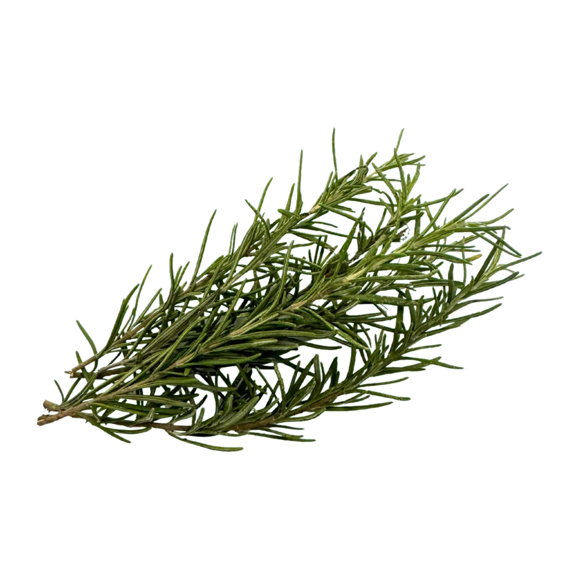 本地有機迷迭香（30g）