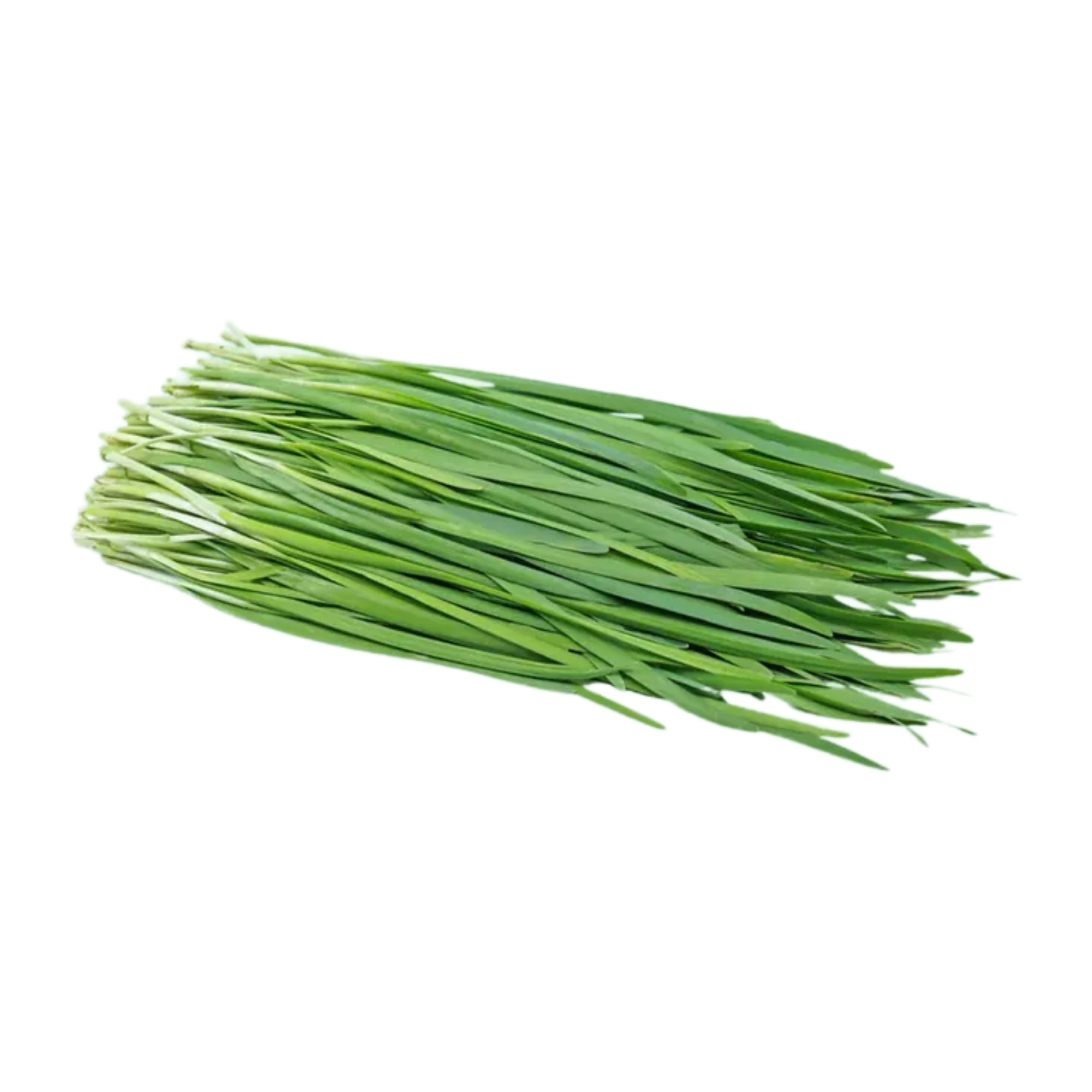 本地有機韭菜 (包)