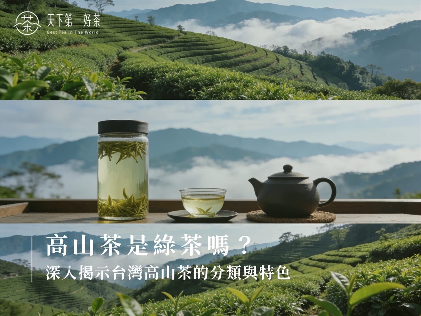 台灣高山茶園風景