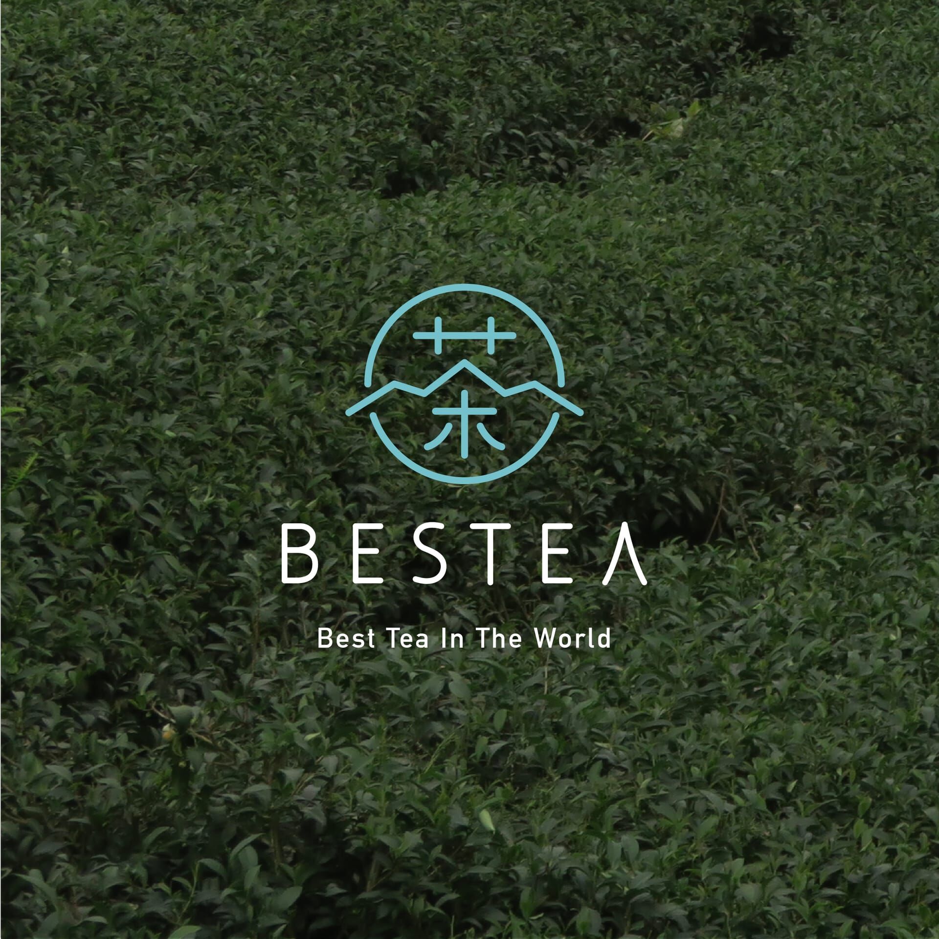 Bestea 茶藝與現代美學