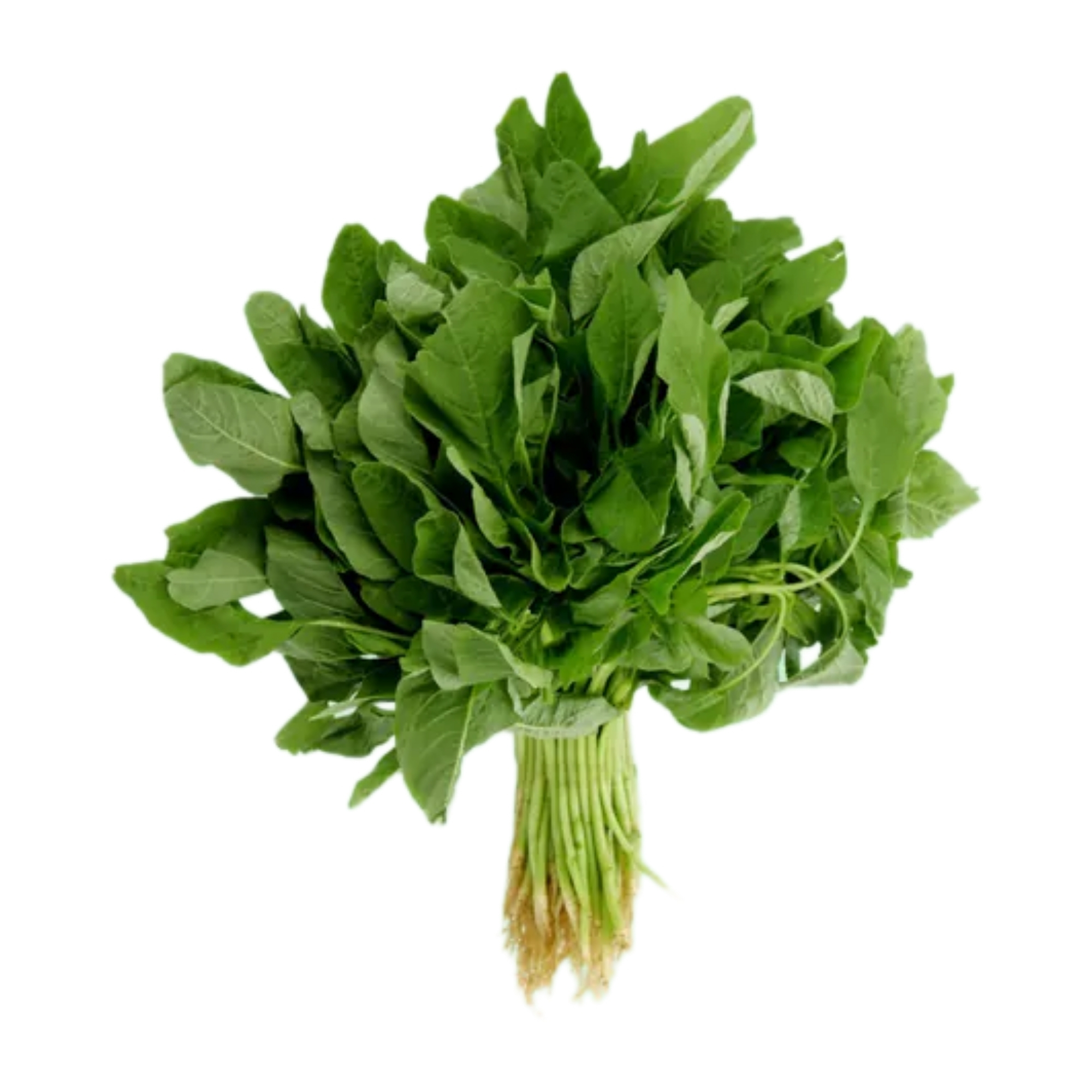 本地有機青莧菜 (斤)