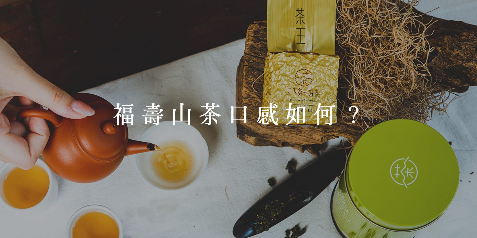 福壽山茶園雲海景觀與茶樹特寫，海拔兩千公尺以上