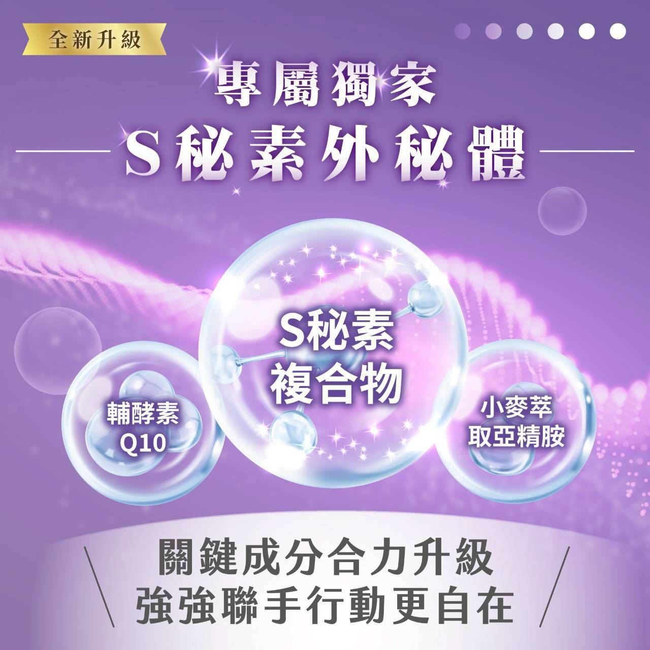鱘龍傳奇精油滾珠瓶S秘素升級版