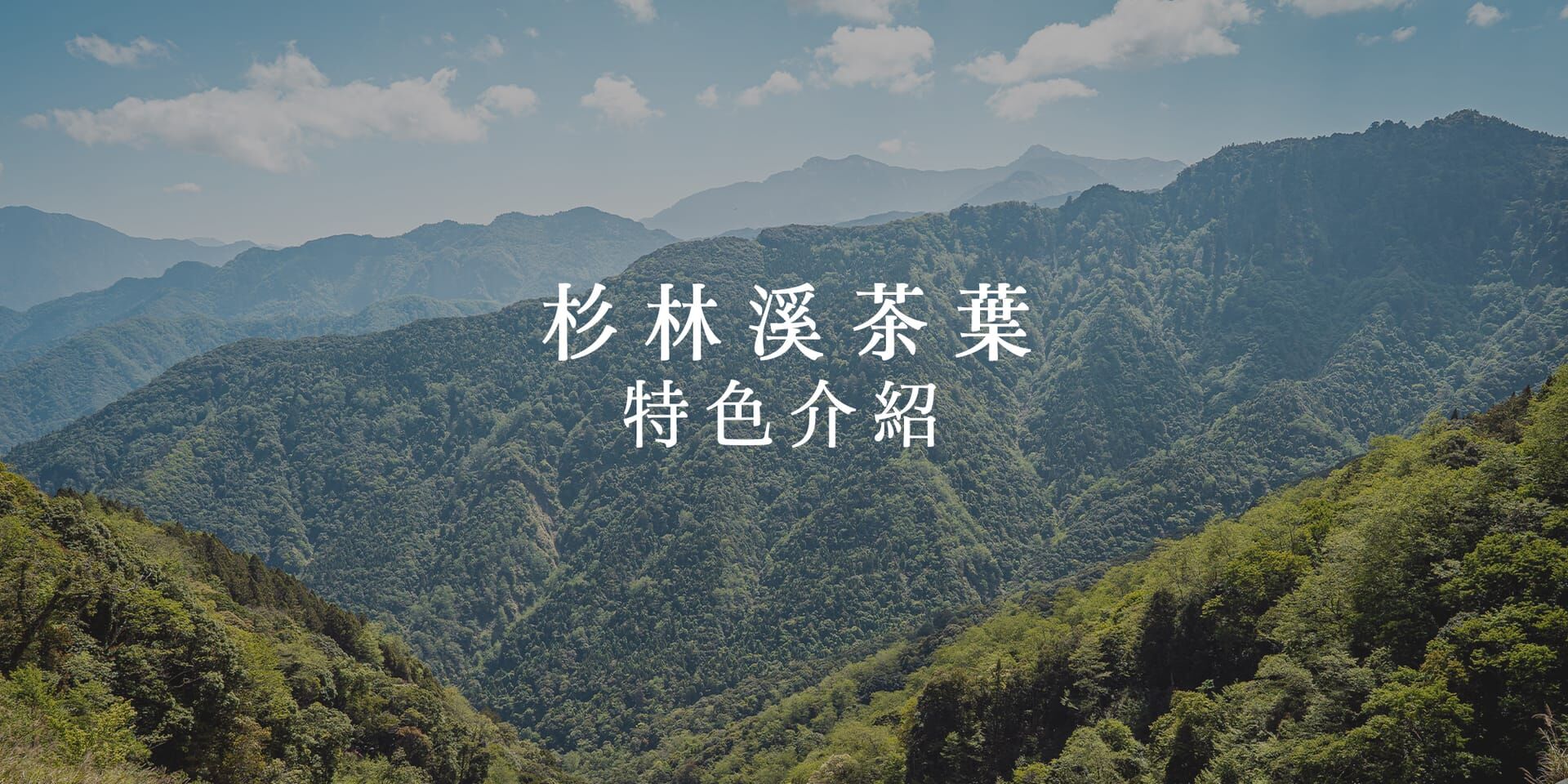 杉林溪茶葉特色