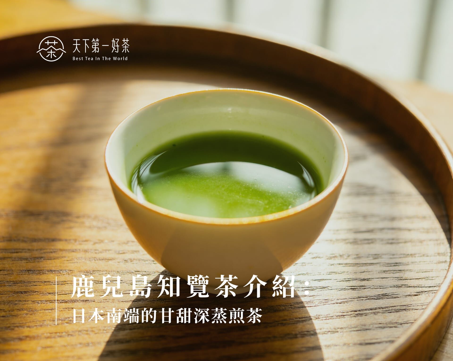 鹿兒島知覽茶介紹