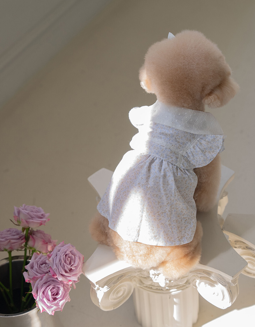 OPAAAP Greenery Dress_Sky Blue