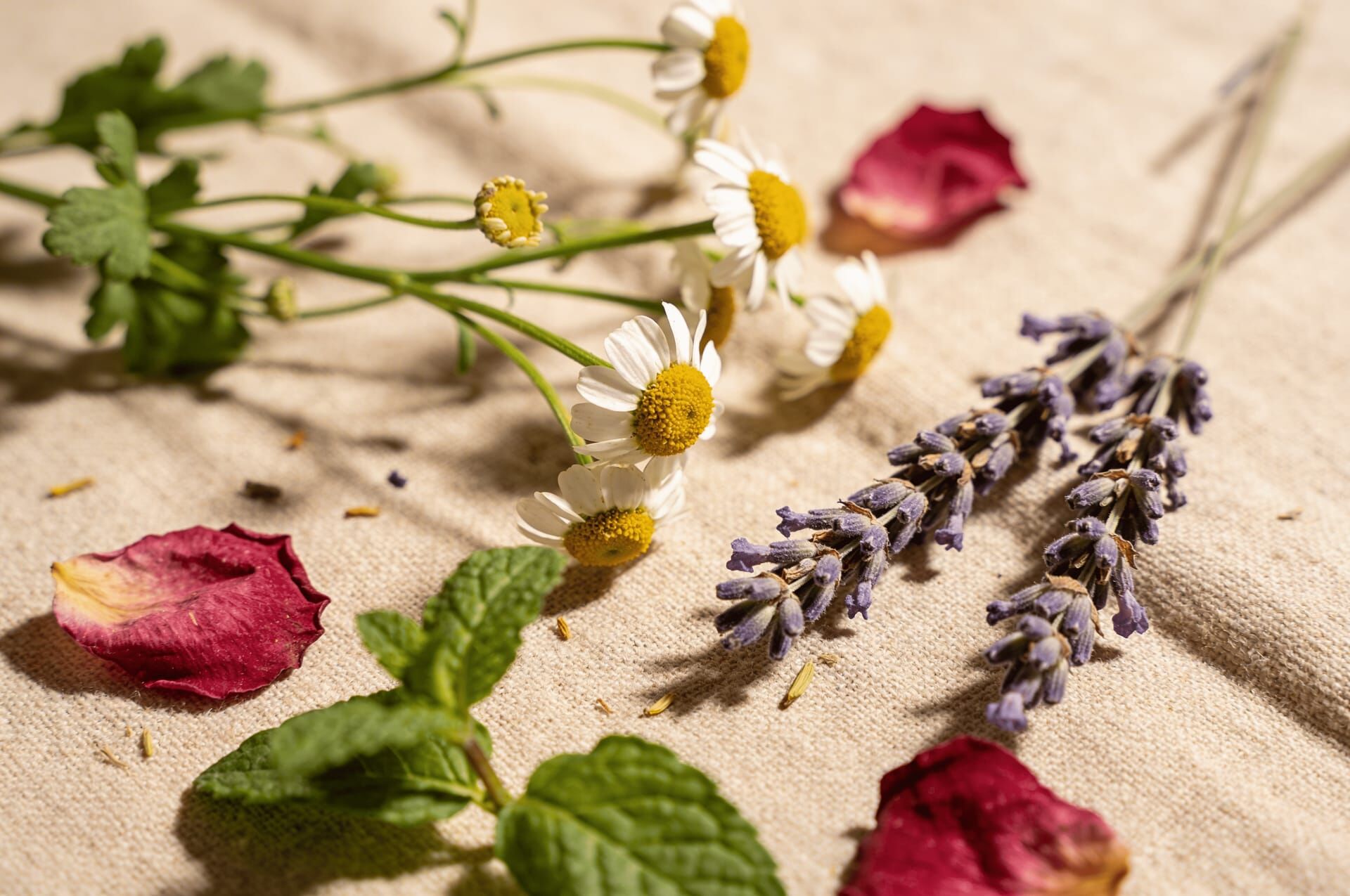 8款零咖啡因茶飲推薦