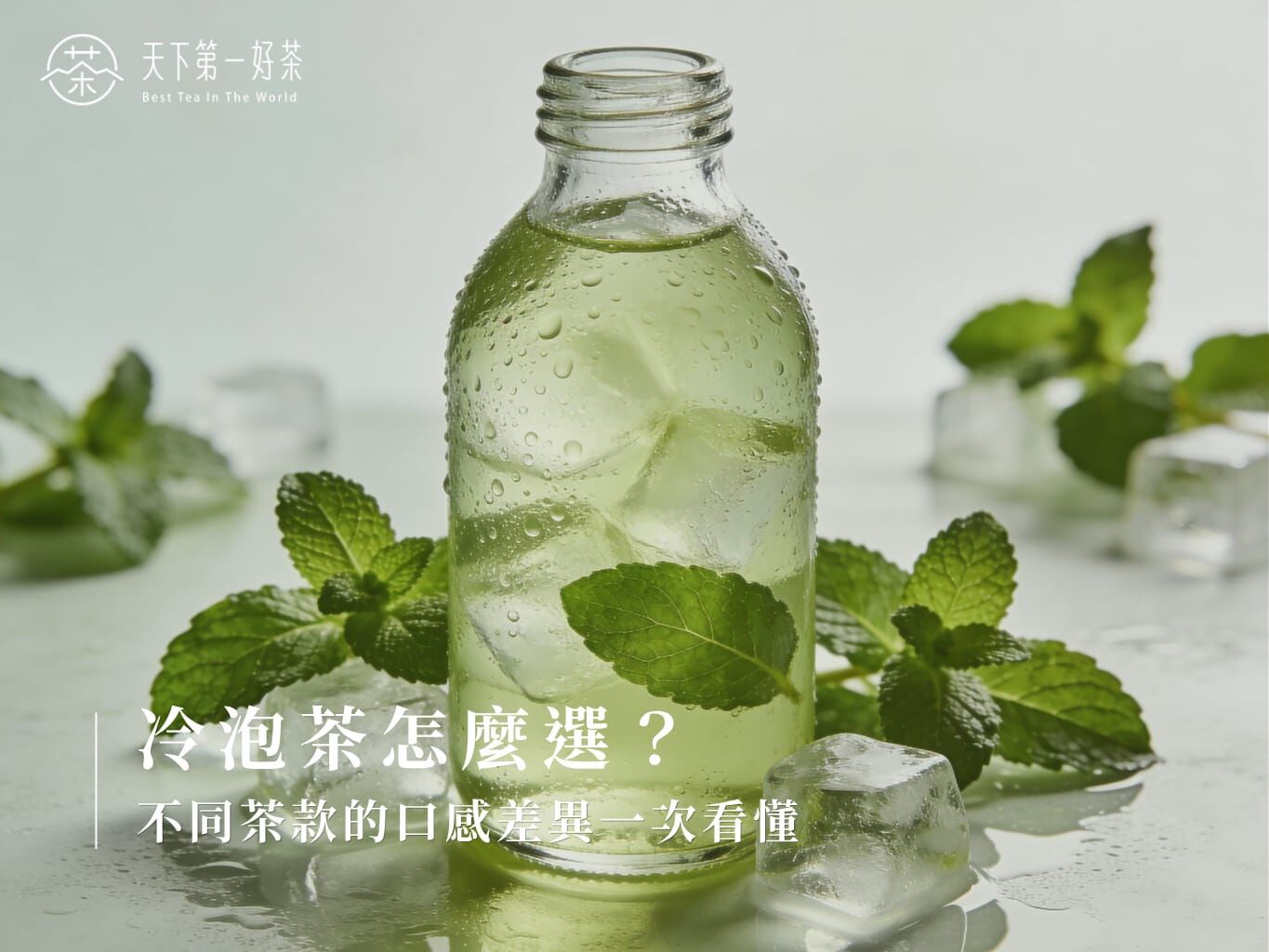 冷泡茶怎麼選？