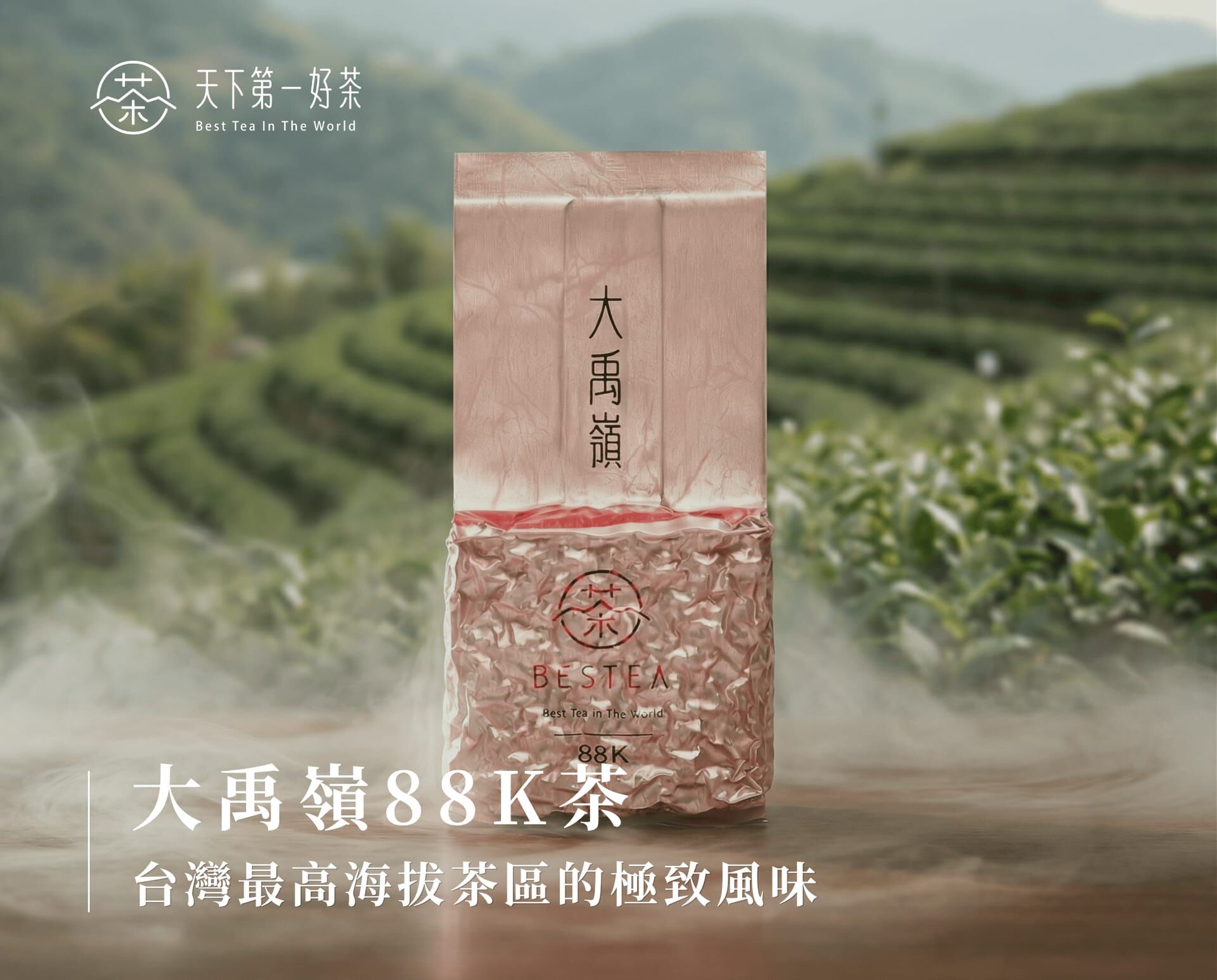 大禹嶺88K茶