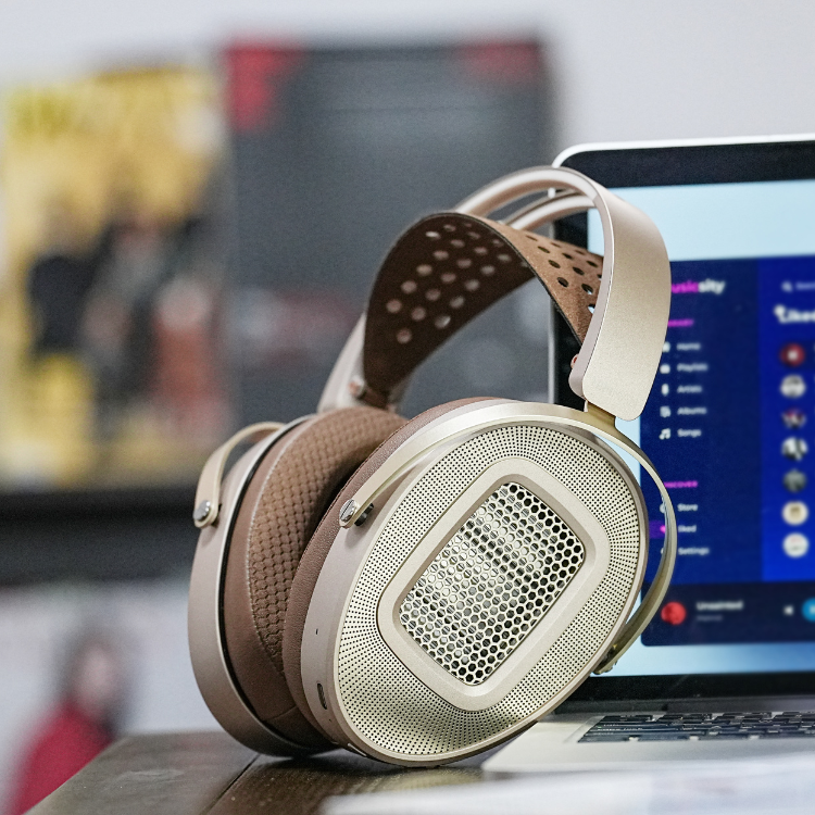 HIFIMAN HE1000 Wifi